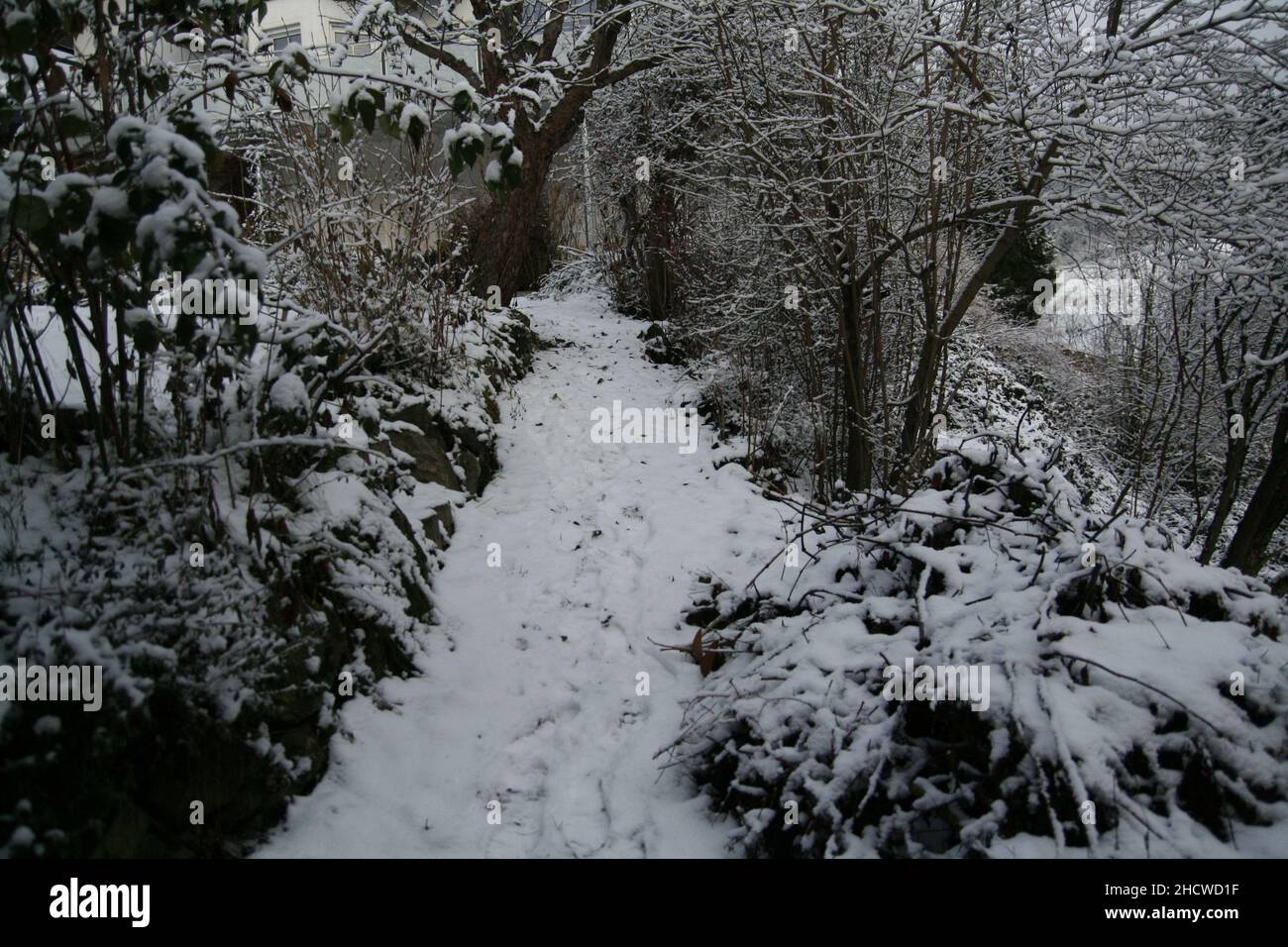 Pfad im Garten, Hintergrund: Bäume, Sträucher, Haus im Schnee Stock Photo