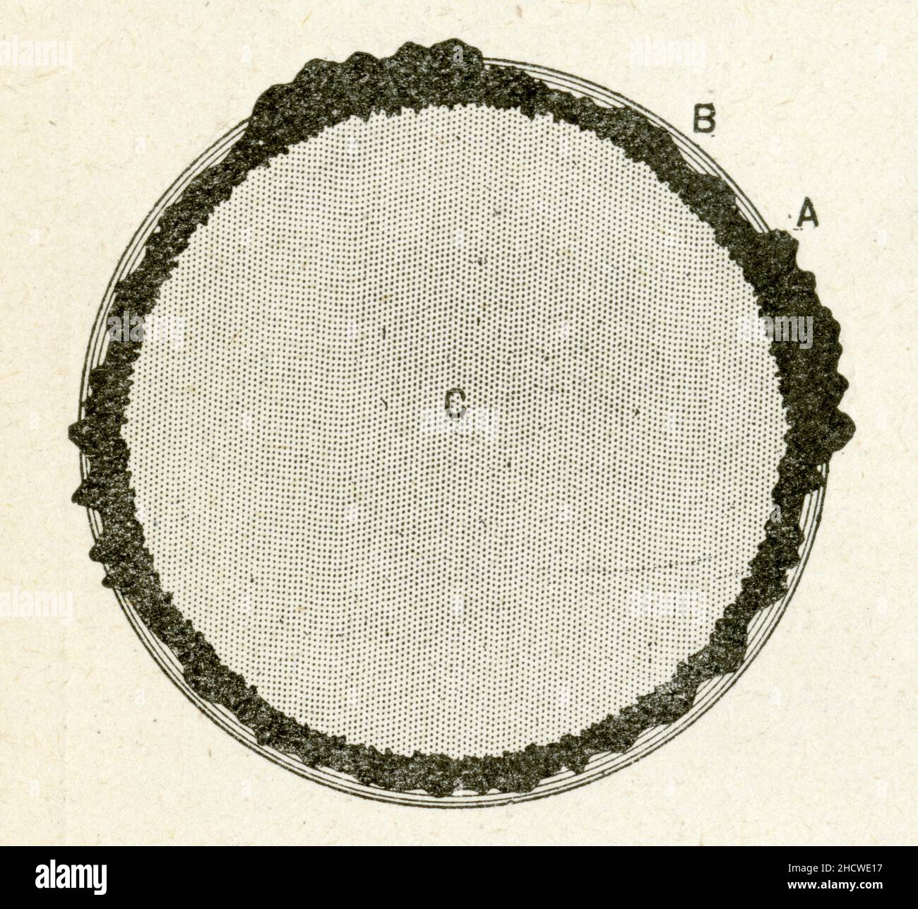 A, croute terrestre; B,Océan; C,Intérieur de la Terre en fusion. Stock Photo