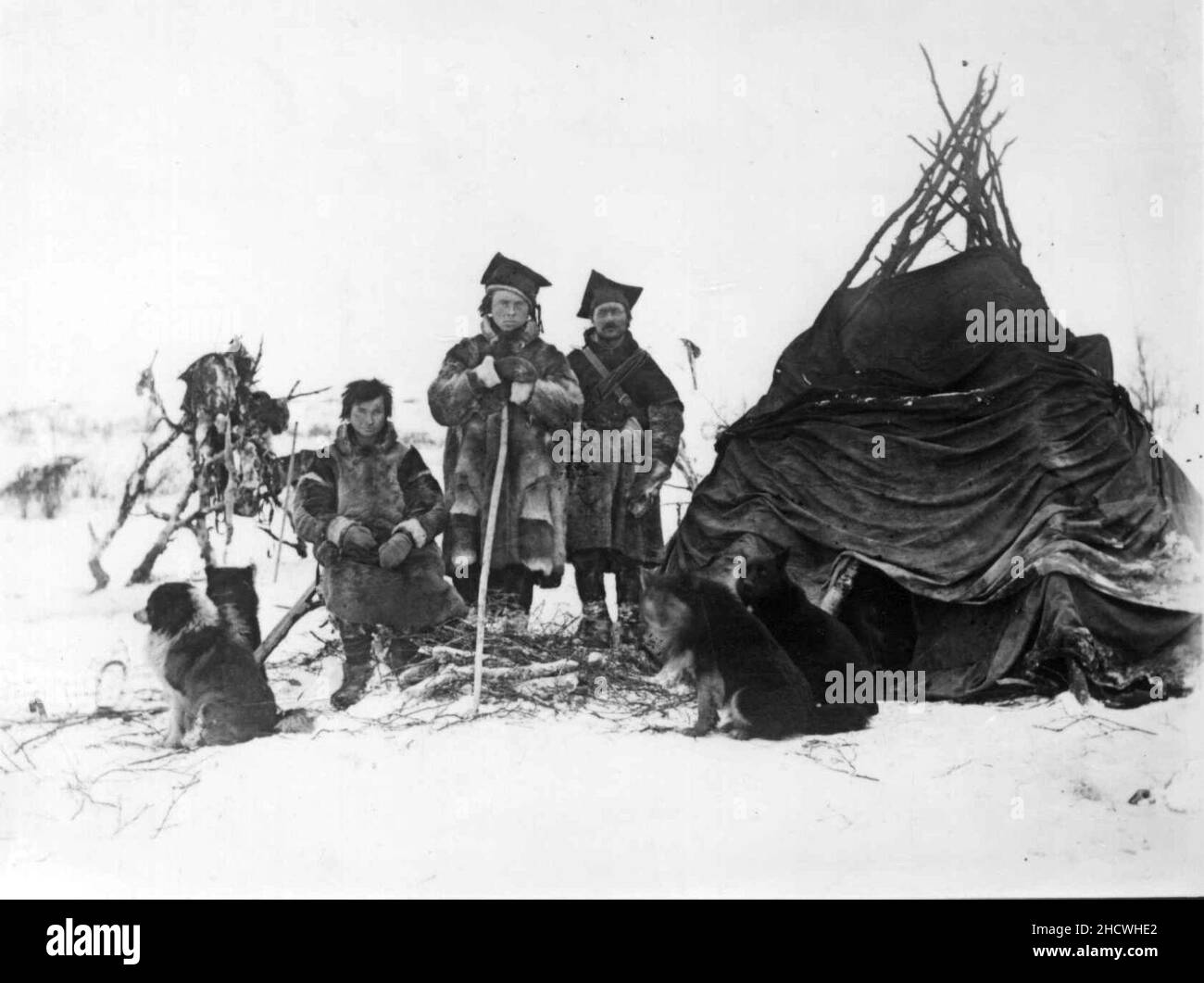 Reingjetere og hunder ved teltet, Sør-Varanger, Finnmark, før 1900 Stock Photo