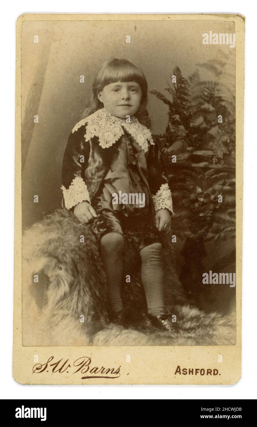 Original Victorian CDV of young boy wearing an elaborate velvet suit with fancy lace collar and lacey cuffs on sleeves and matching velvet knickerbockers or short trousers. This style was influenced by the popular 1885-1886 novel 'Little Lord Fauntleroy' by Frances Hodgson Burnett. From the studio of S.W. (Samuel West) Barns, Ashford, dated Aug 1886 on reverse. Stock Photo