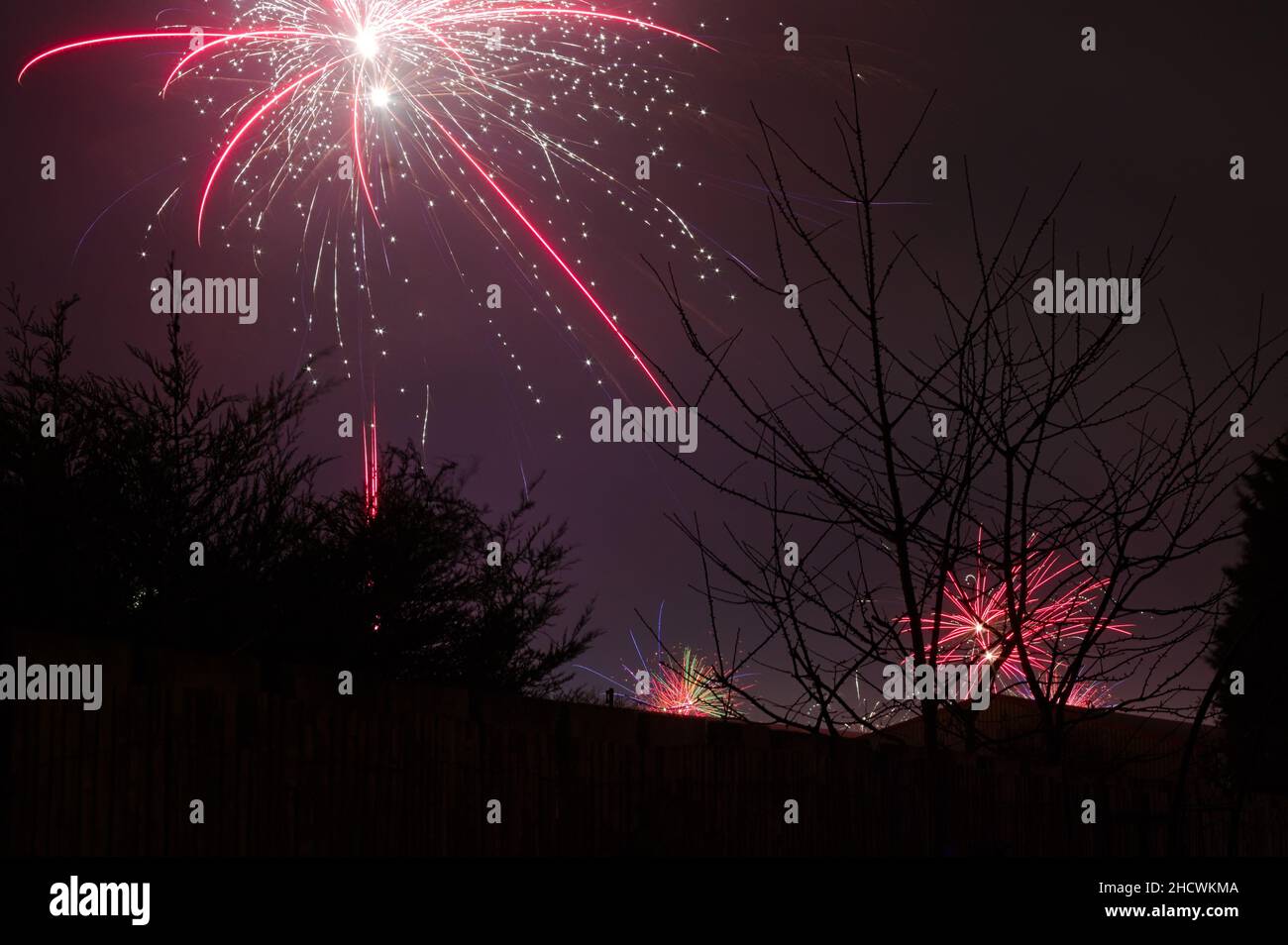 View from a garden of colourful fireworks in the night sky celebrating the new year Stock Photo
