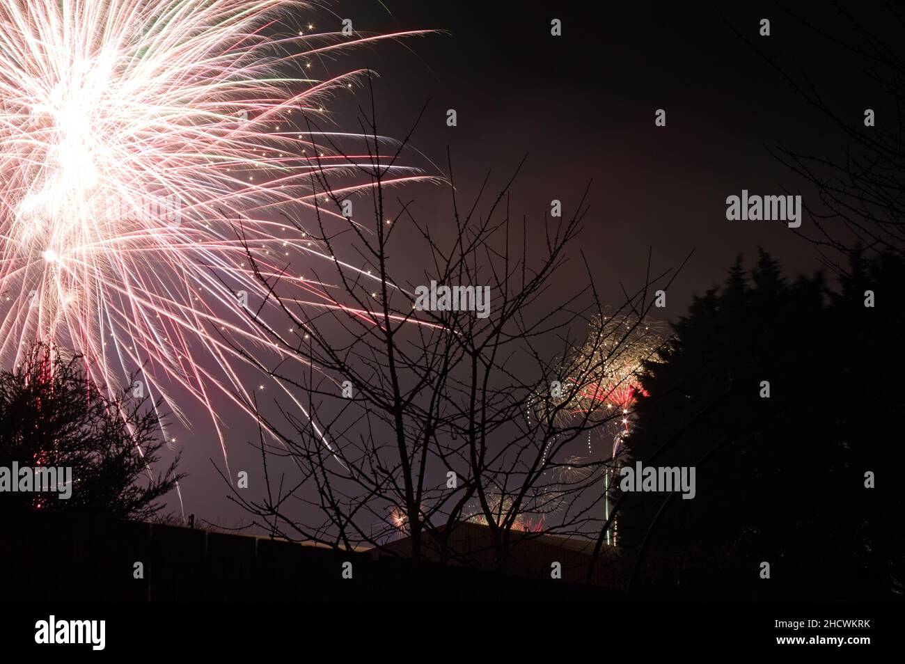 View from a garden of colourful fireworks in the night sky celebrating the new year of 2022 Stock Photo