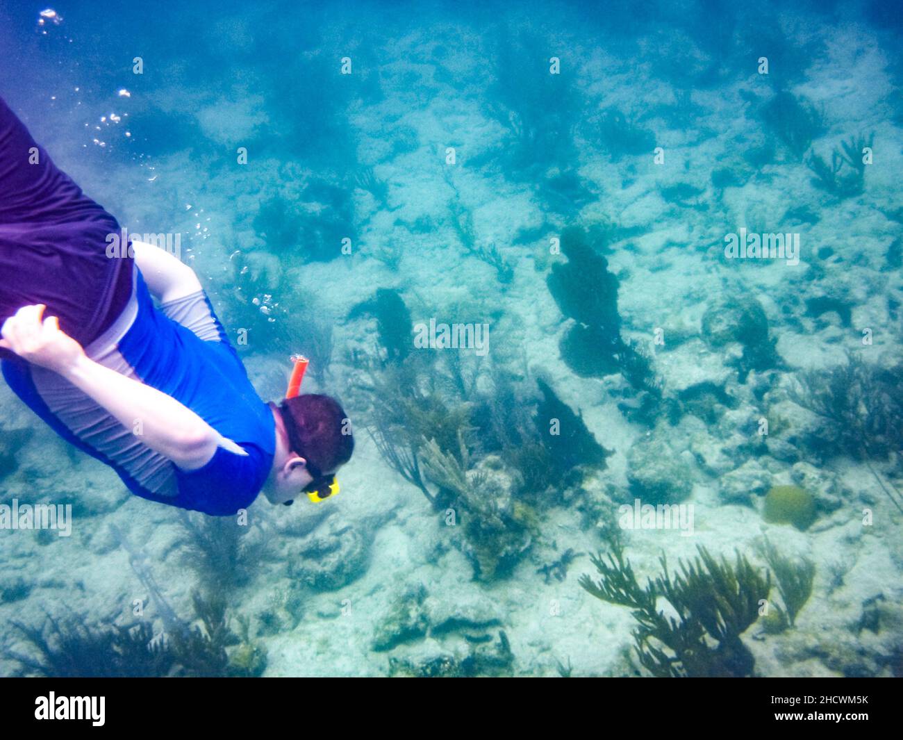 Underwater snorkeler St. John USVI Stock Photo Alamy
