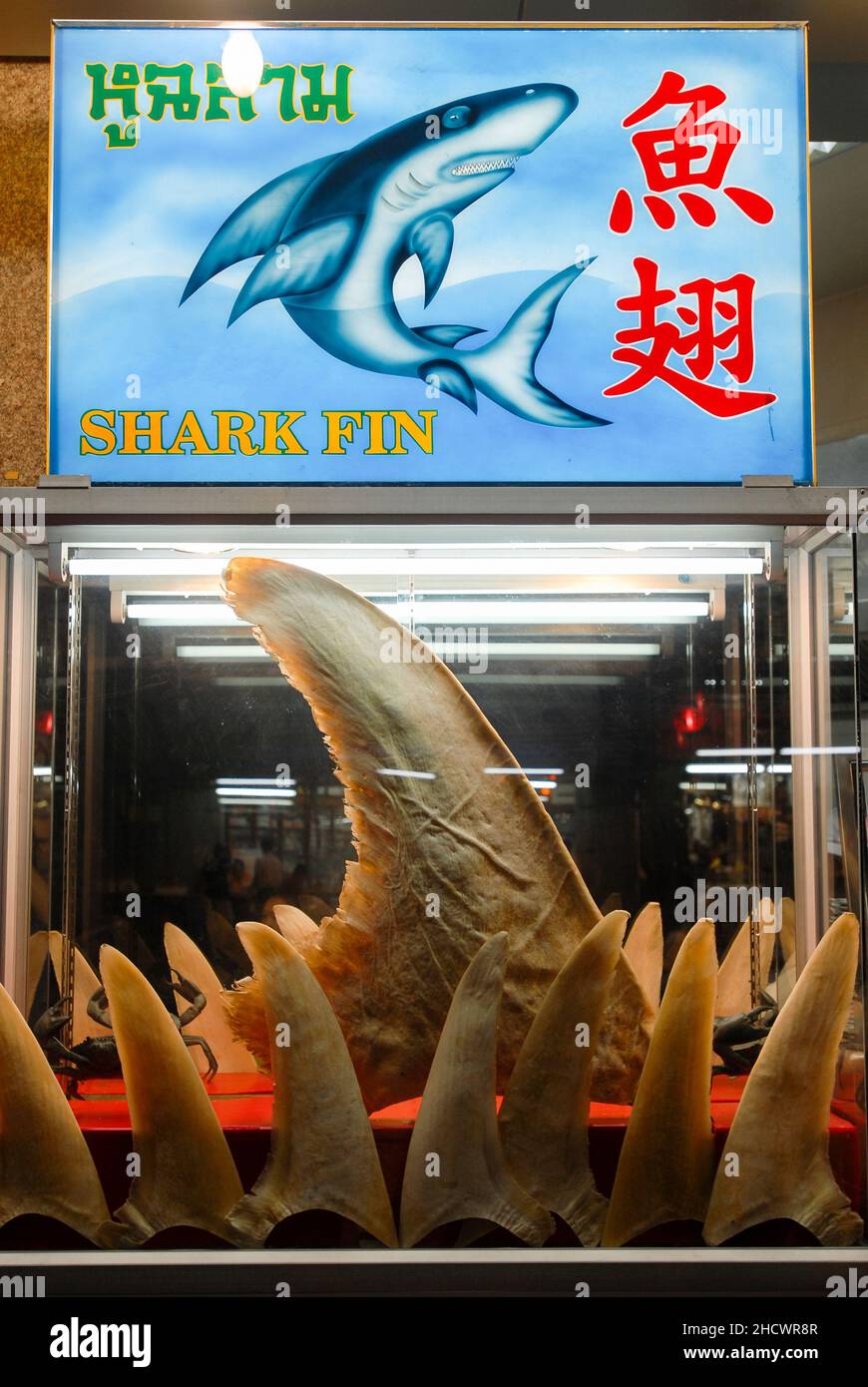 Thailand, Bangkok, restaurant in China Town offers shark fin food , sharks are threatened species / Thailand Bangkok, Restaurant in der Chinatown bietet Gerichte mit Haifischflossen an, Haifische zaehlen bedrohten Stock Photo