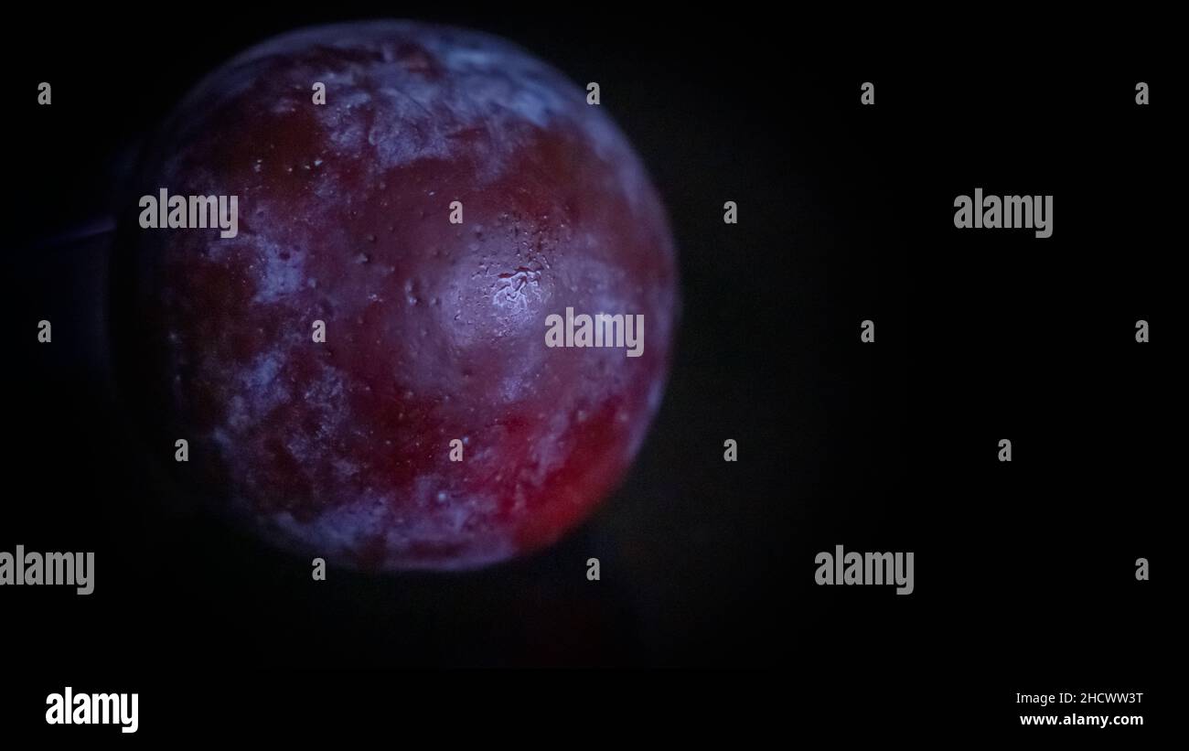 Close up image of blue plum with black backgrond similar to  planet Stock Photo