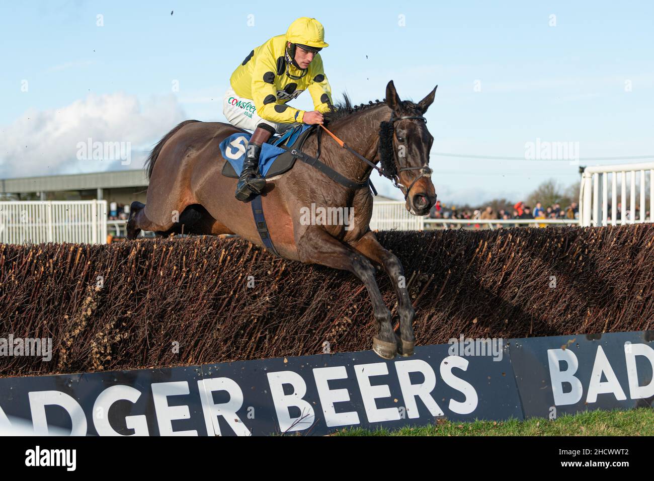 Just a Sting jumping at Wincanton on Boxing Day 2021 Stock Photo