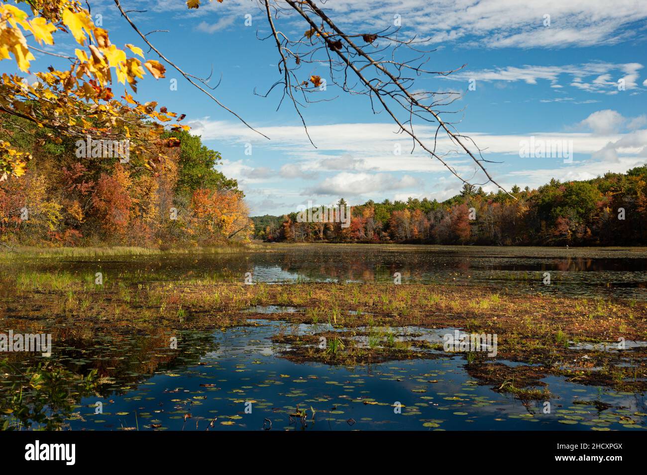 Light reflections on autumn foliage hi-res stock photography and images ...