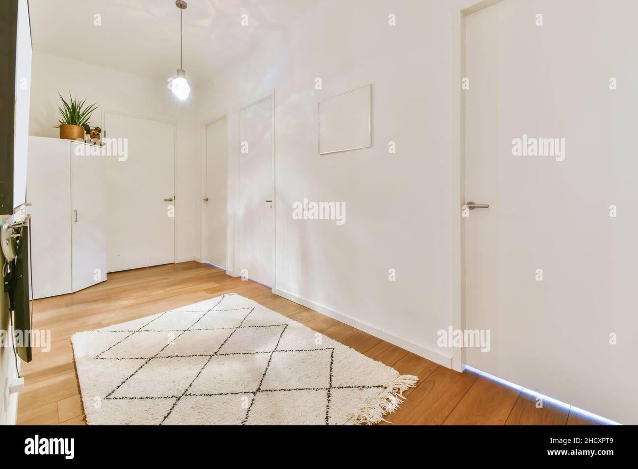 Superb corridor with hardwood floors and soft fluffy carpet Stock Photo