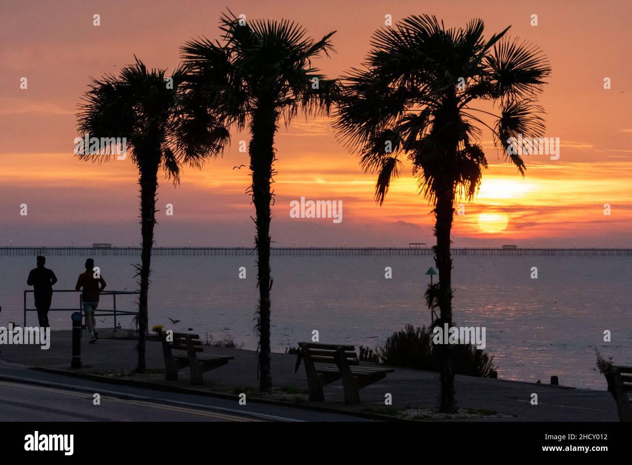 running-day-2022-hi-res-stock-photography-and-images-alamy