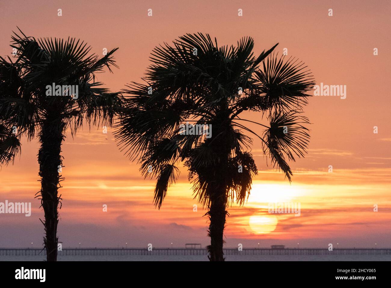 Sunrise on the morning of 1 January 2022 in Southend on Sea, Essex, UK. Sun rising above Southend Pier, with seafront palm trees Stock Photo