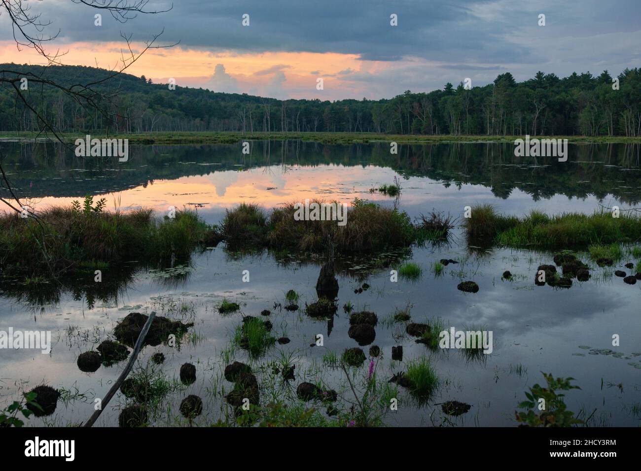 Forest reflection on lake during sunset Stock Photo