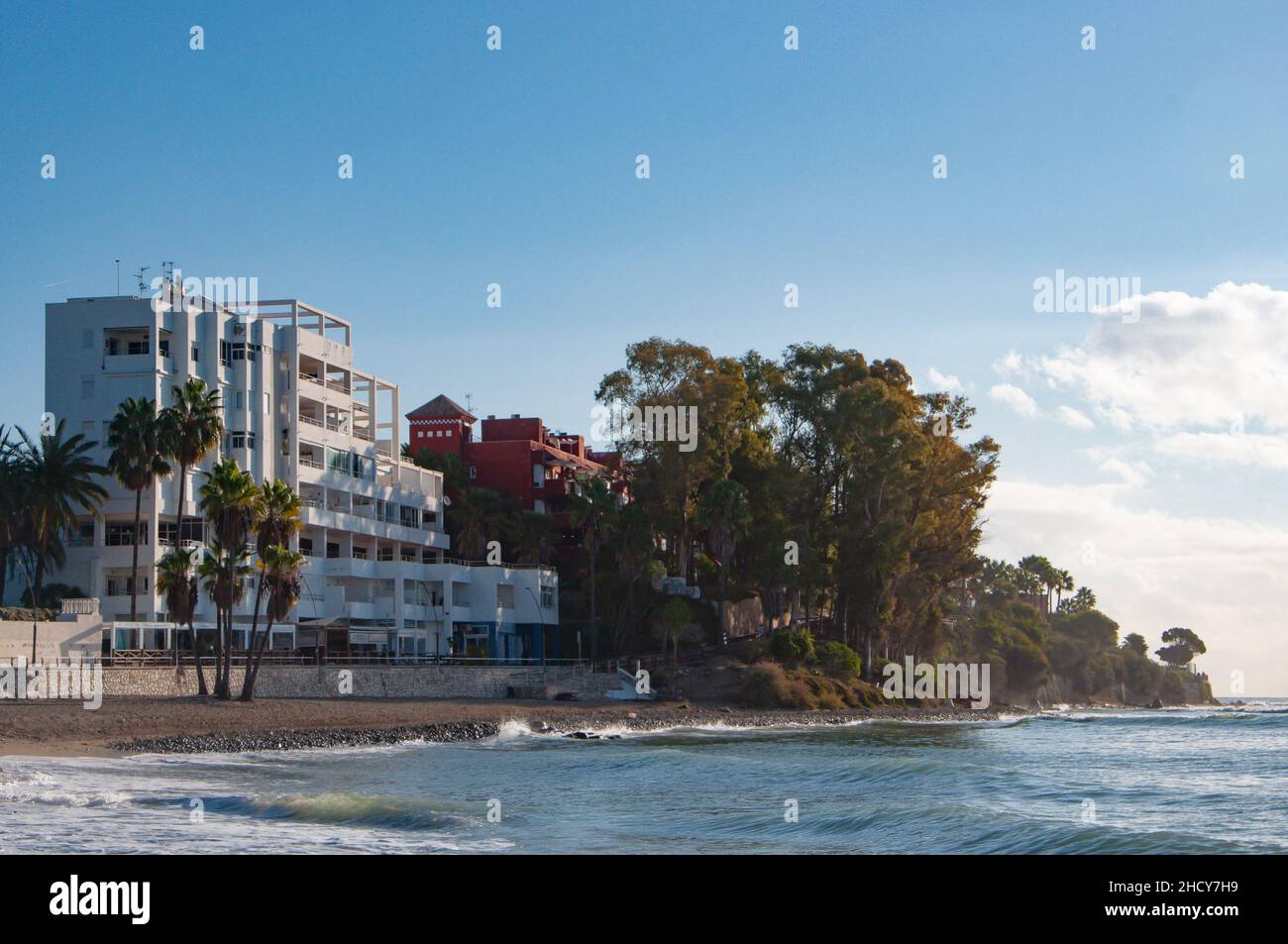 View of sandy beach by the sea or ocean with palm trees under blue sky. Stock Photo