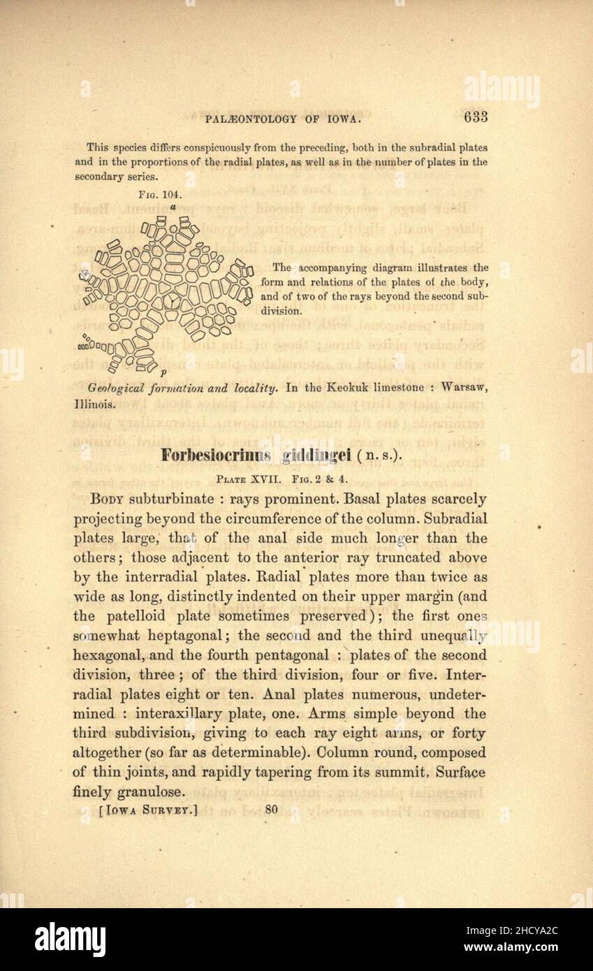 Report on the Geological survey of the state of Iowa (Page 633 Stock ...