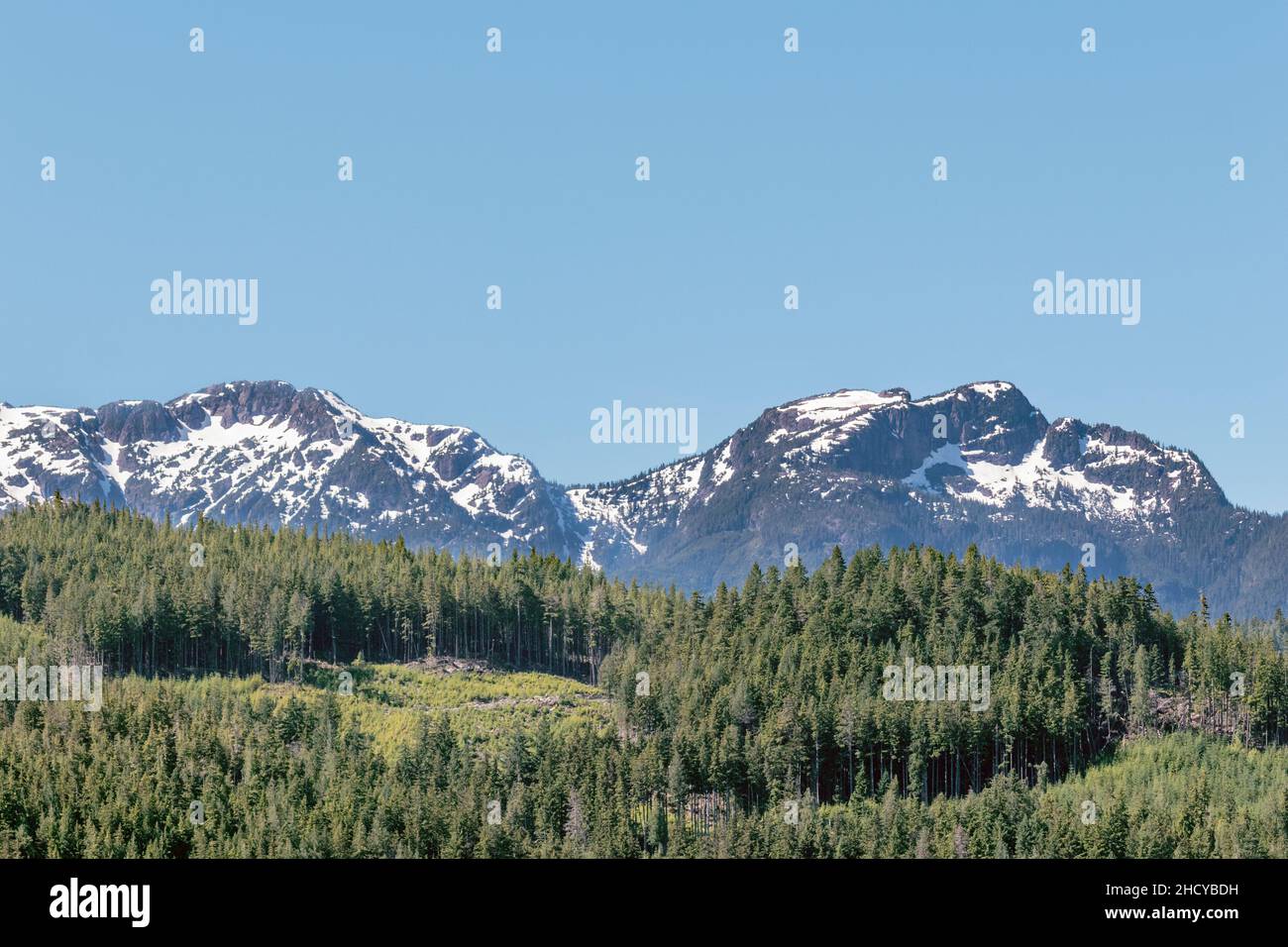A partly logged forest on BC's West Thurlow Island, with snow-topped peaks of the Prince of Wales Range on Vancouver Island rising in the background. Stock Photo