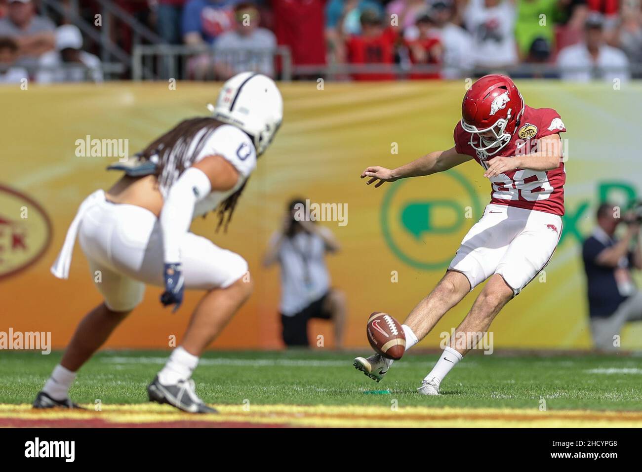 Arkansas razorbacks hi-res stock photography and images - Alamy