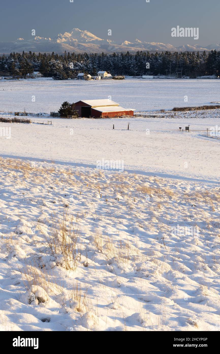 View over snow covered prairie, red barn and farmland, Ebey's Prairie Ridge Trail, Ebey's Landing National Historic Reserve, Whidbey Island, Island Co Stock Photo