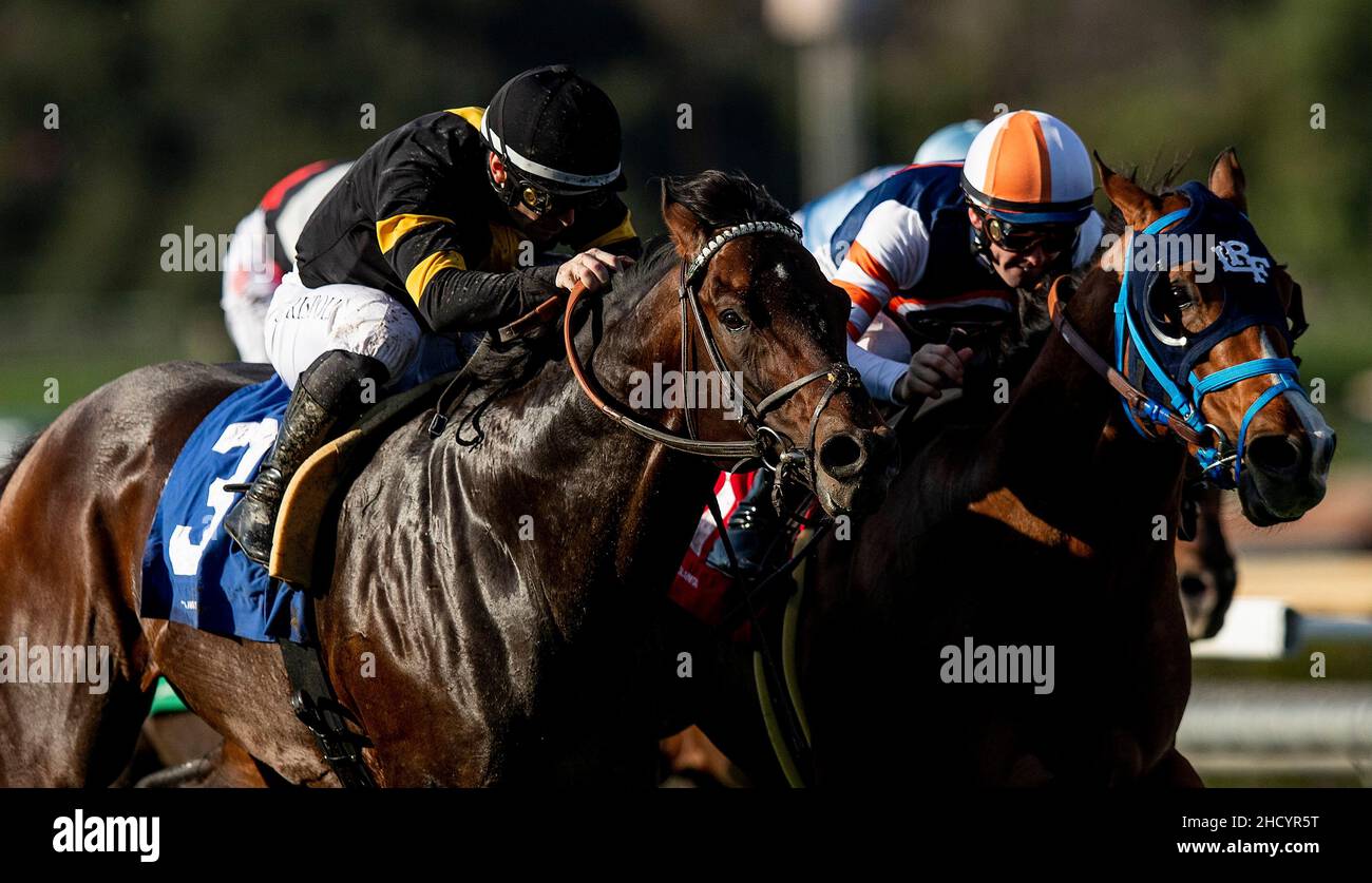 Alex hernandez hi-res stock photography and images - Alamy