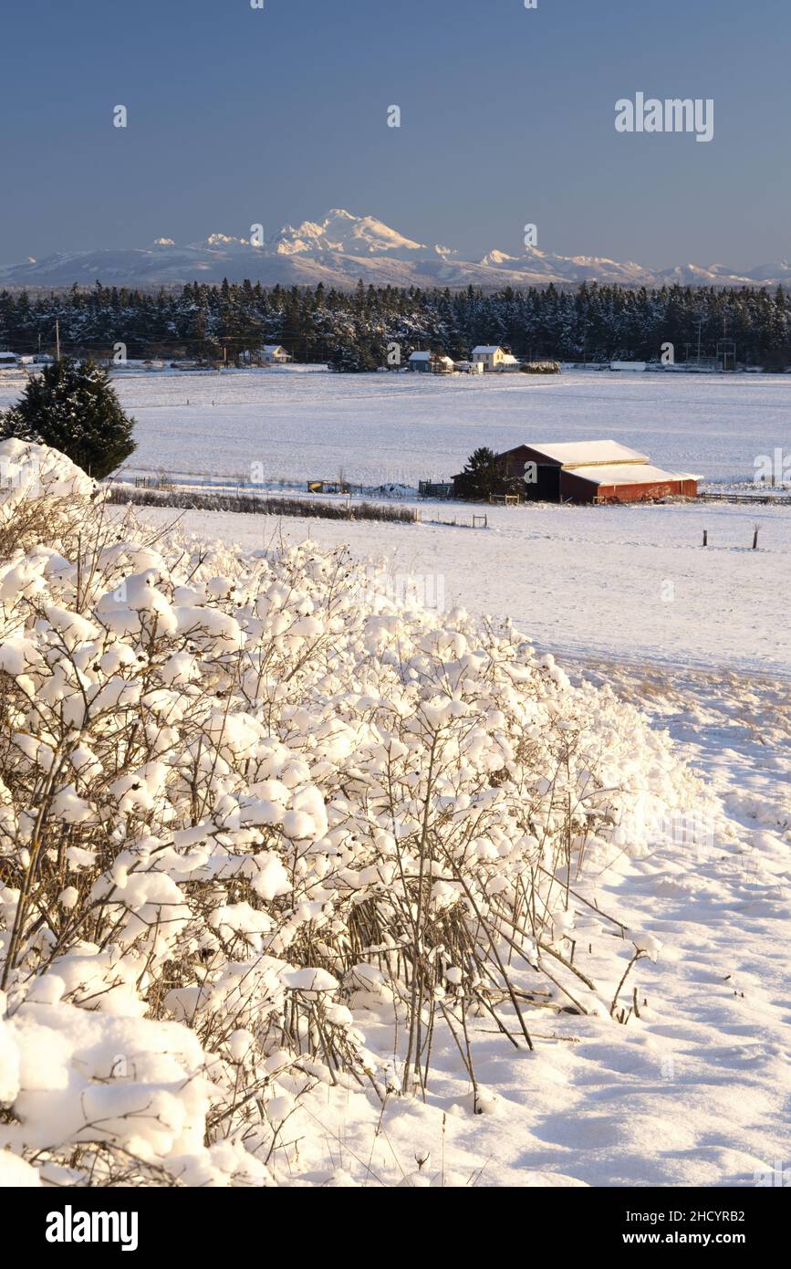 View over snow covered prairie, red barn and farmland, Ebey's Prairie Ridge Trail, Ebey's Landing National Historic Reserve, Whidbey Island, Island Co Stock Photo