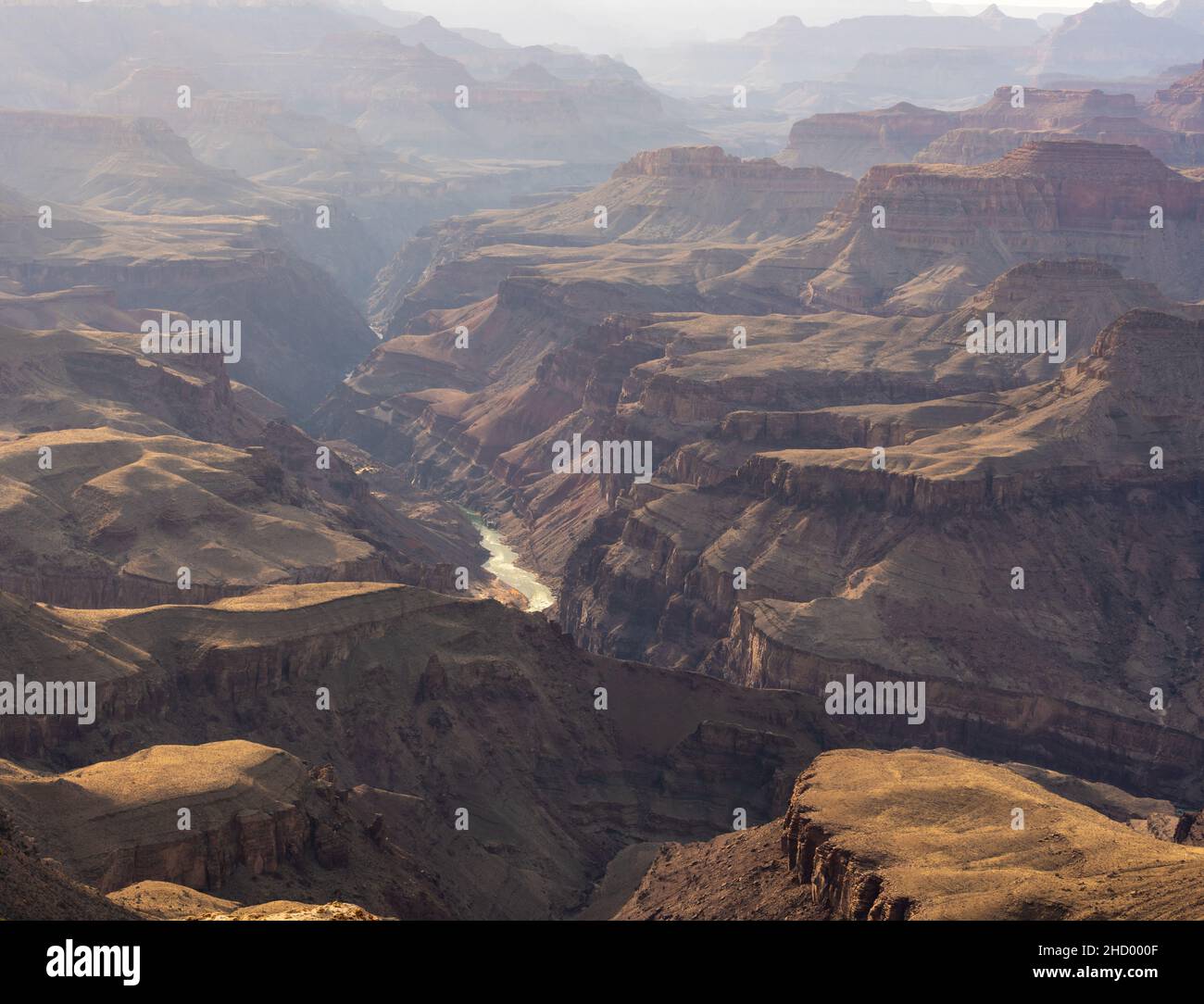 Colorado river flows through grand hi-res stock photography and images