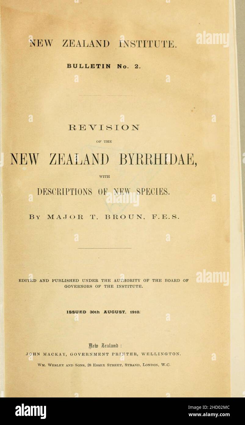 Revision of the New Zealand Byrrhidae (Page 1) Stock Photo