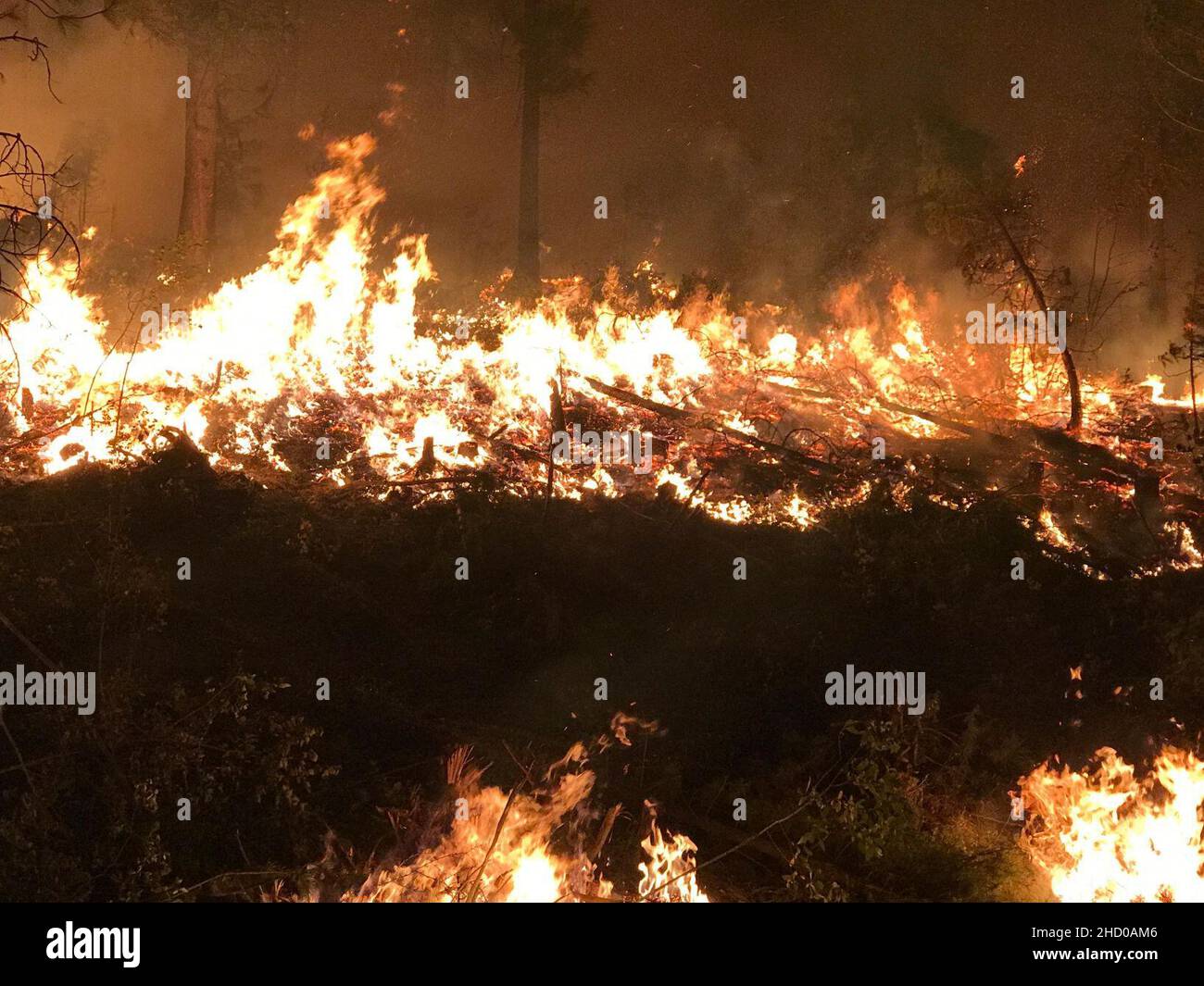 Rice Ridge Fire Images2 Stock Photo - Alamy