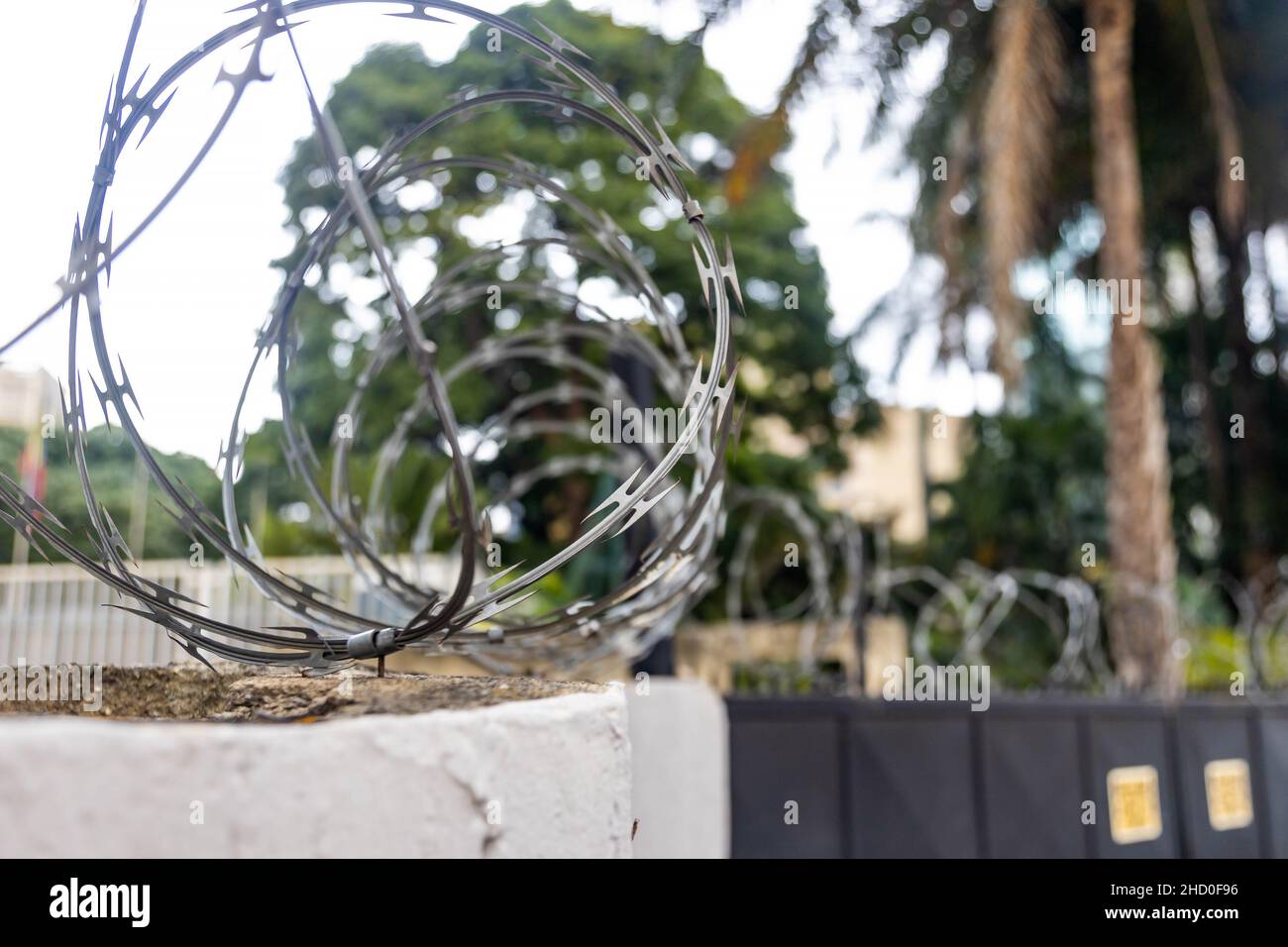 Wall mounted barbed wire fence for safety protection on the building Stock Photo