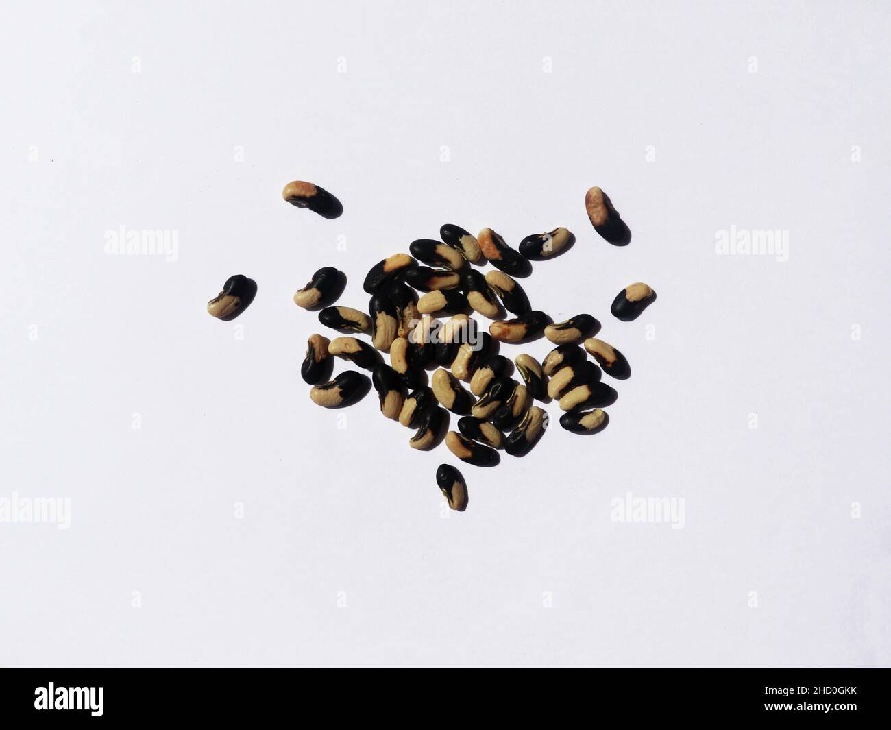The black seeds of snake beans Stock Photo