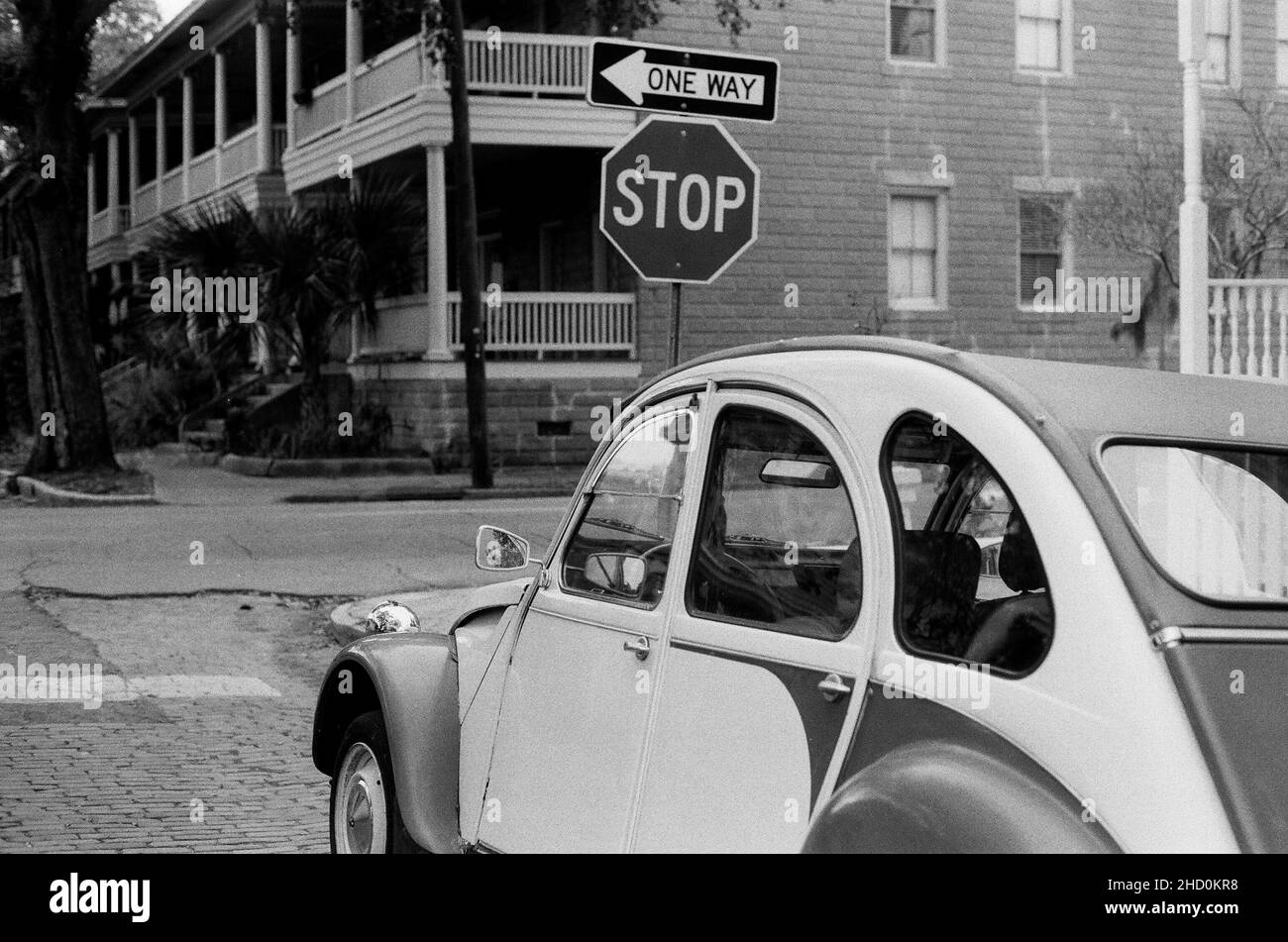 Sweet melancholy with a promising future Stock Photo Alamy