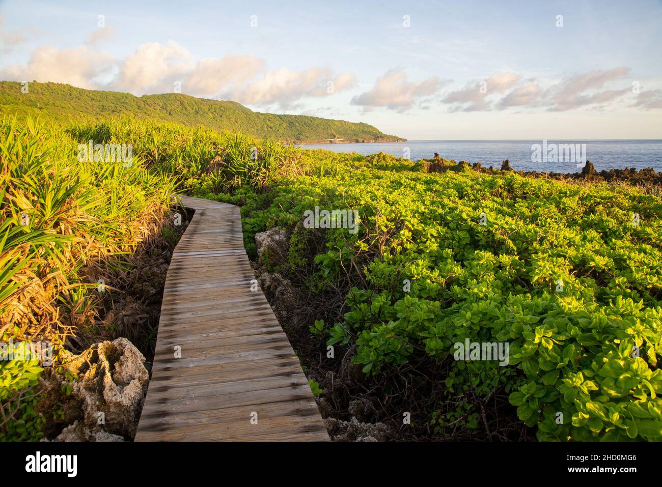 The wooden walkway between Ethel and Dolly Beaches on the eastern side of Christmas Island. Stock Photo