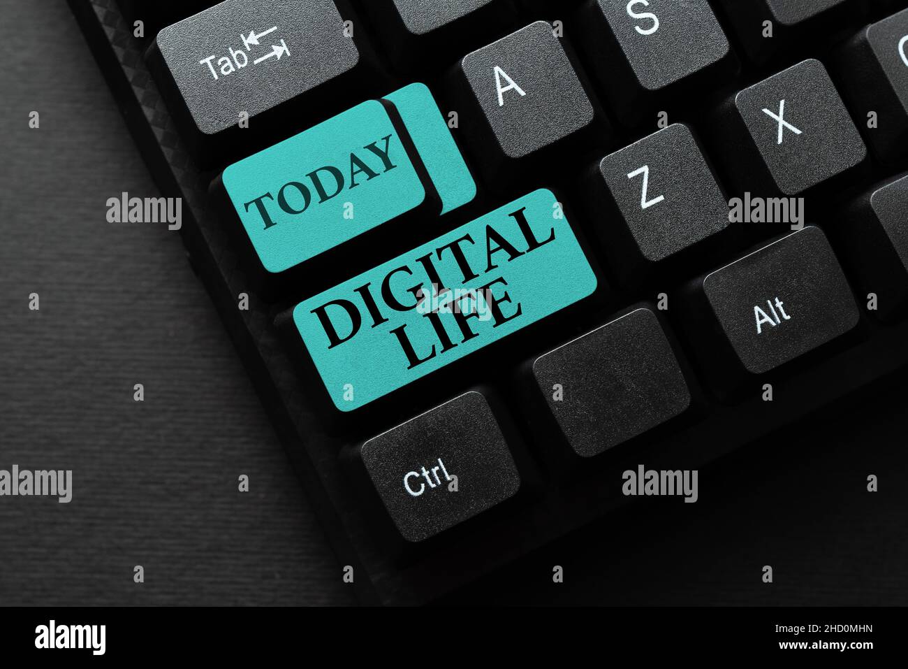 Sign Displaying Digital Life Concept Meaning Living In A World