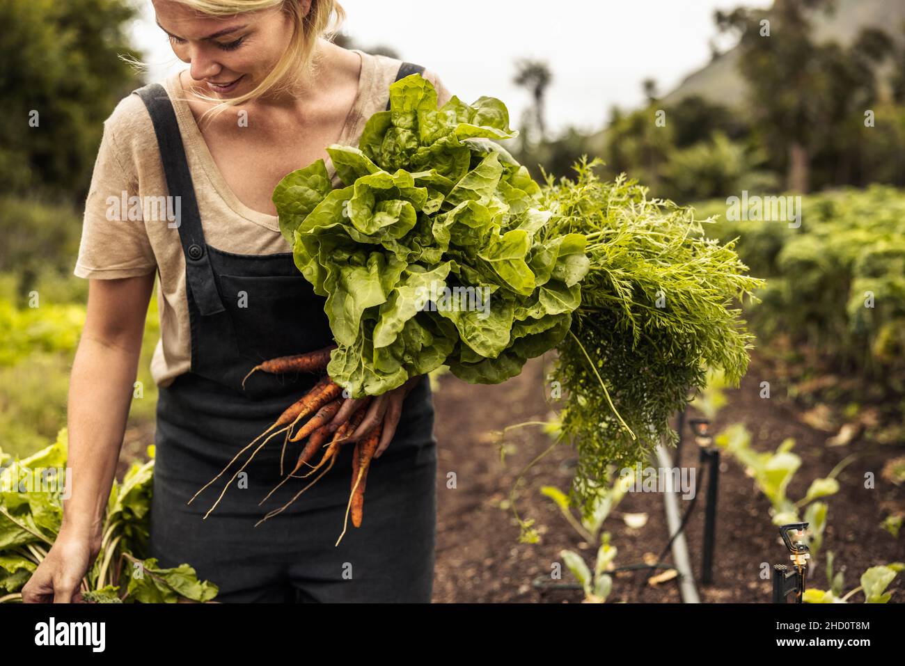 Smiling organic farmer holding freshly picked vegetables in an agricultural field. Self-sustainable young woman gathering fresh green produce in her g Stock Photo