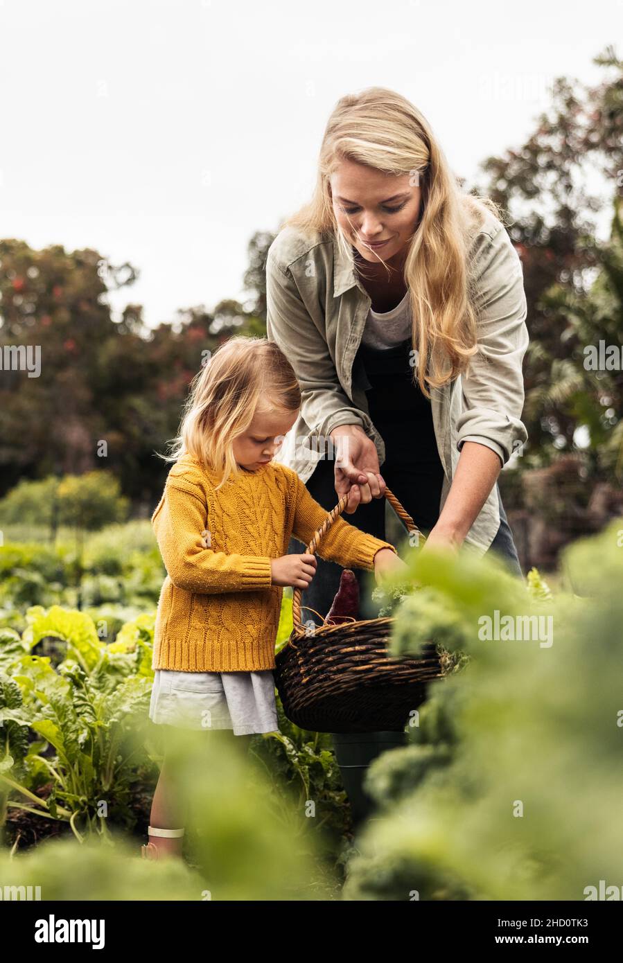 Cheerful young mother reaping fresh vegetables with her daughter. Young