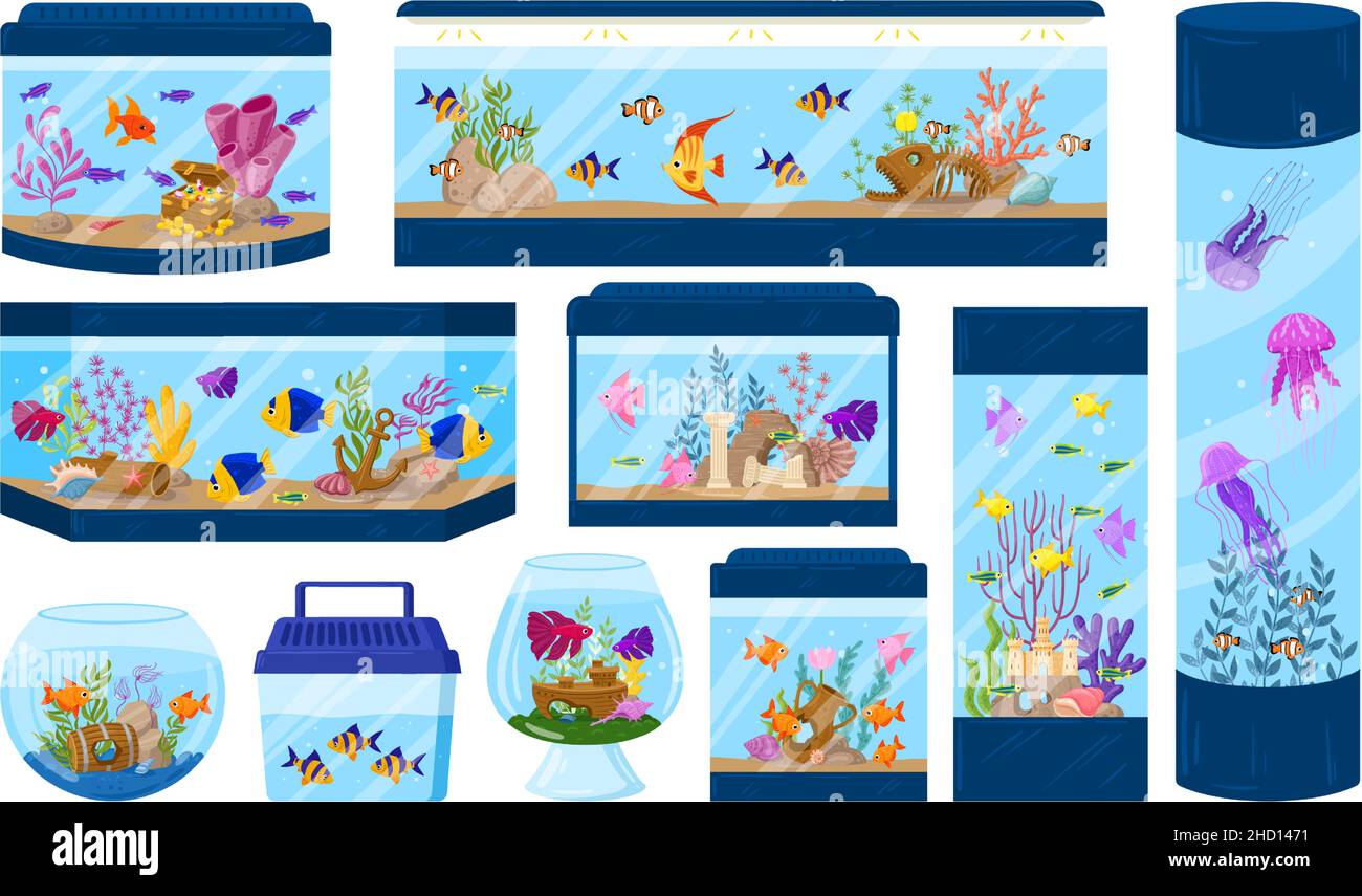 Cartoon aquariums with underwater fish, algae and corals. Aquarium underwater fish pet vector