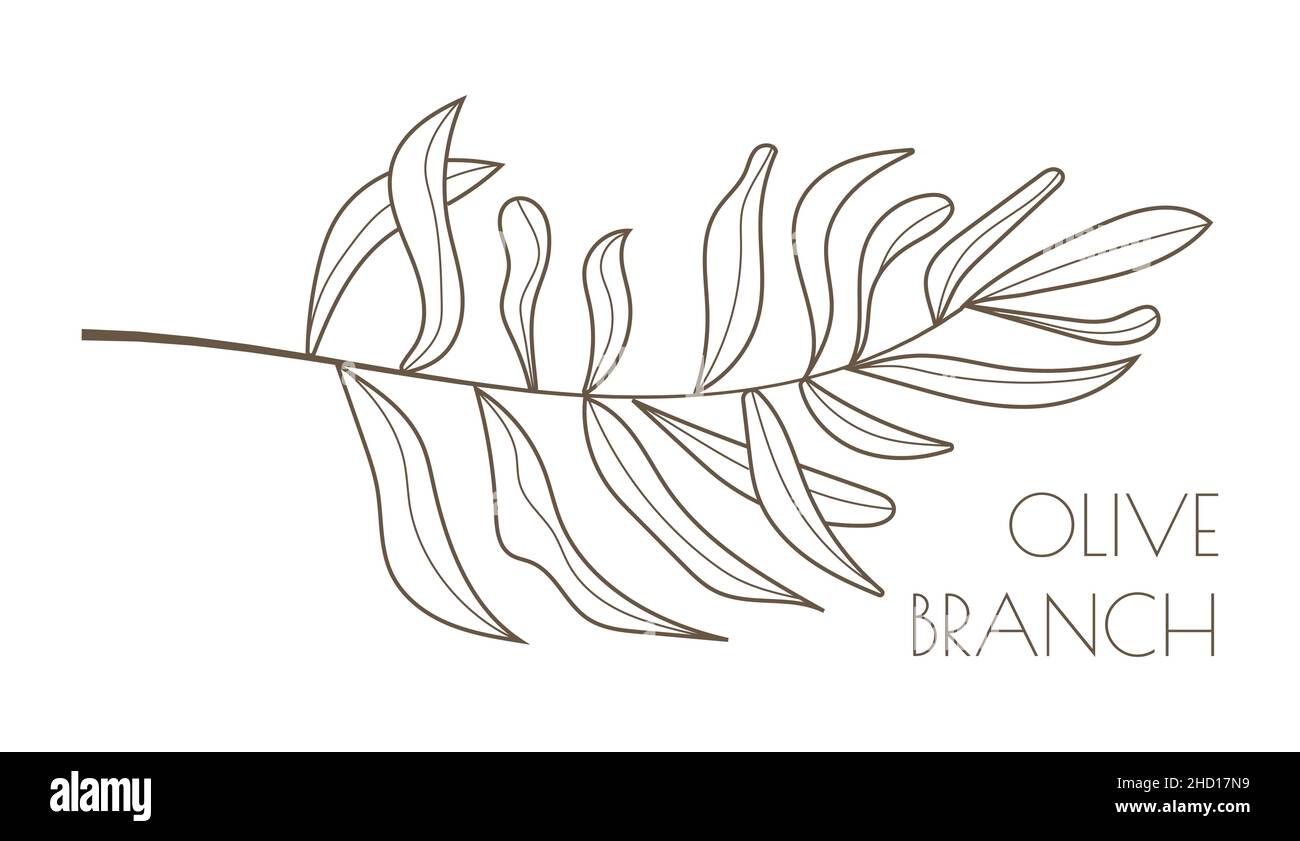 Olive branch vector in doodle sketch style Black minimal single line  botanic branch and leaf Ink pencil hand drawn olive tree leaves for  wrapper Stock Vector Image  Art  Alamy