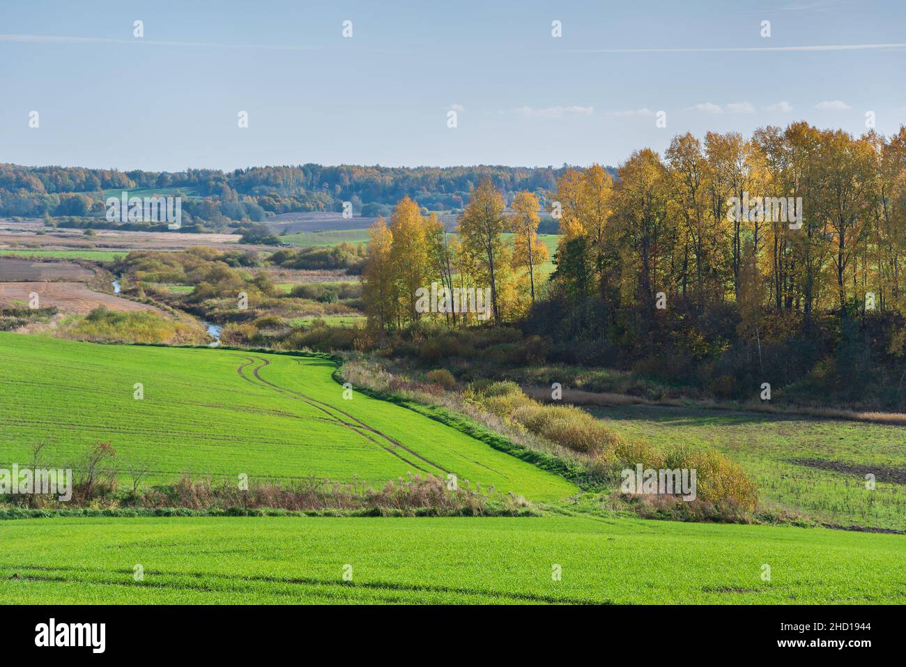 View of a sunny agricultural field in autumn Stock Photo - Alamy