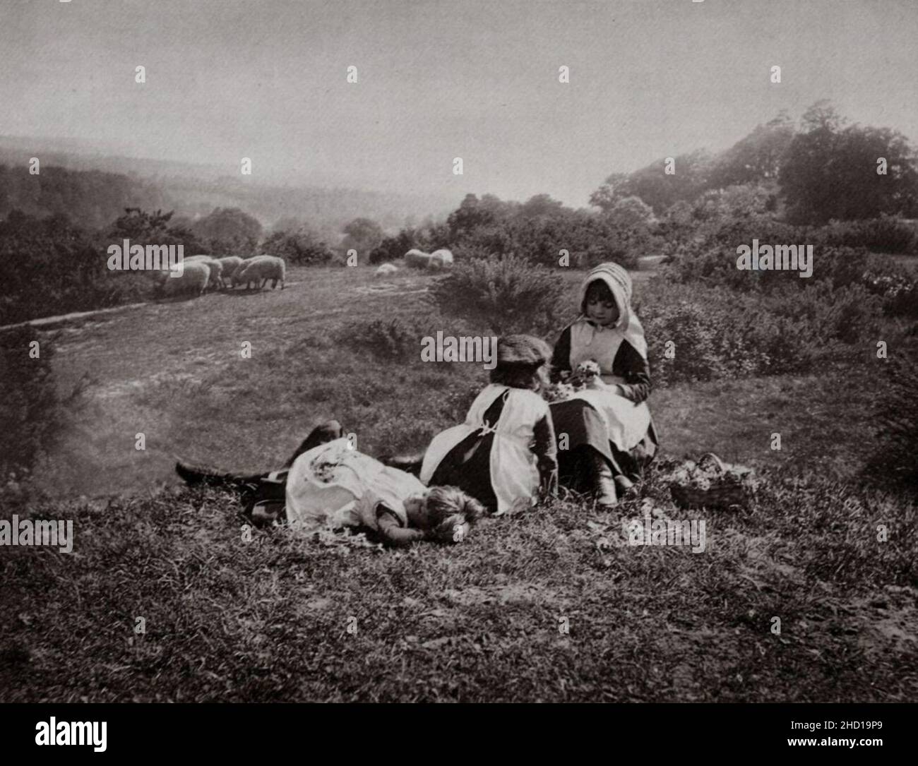 Robinson henry peach hires stock photography and images Alamy