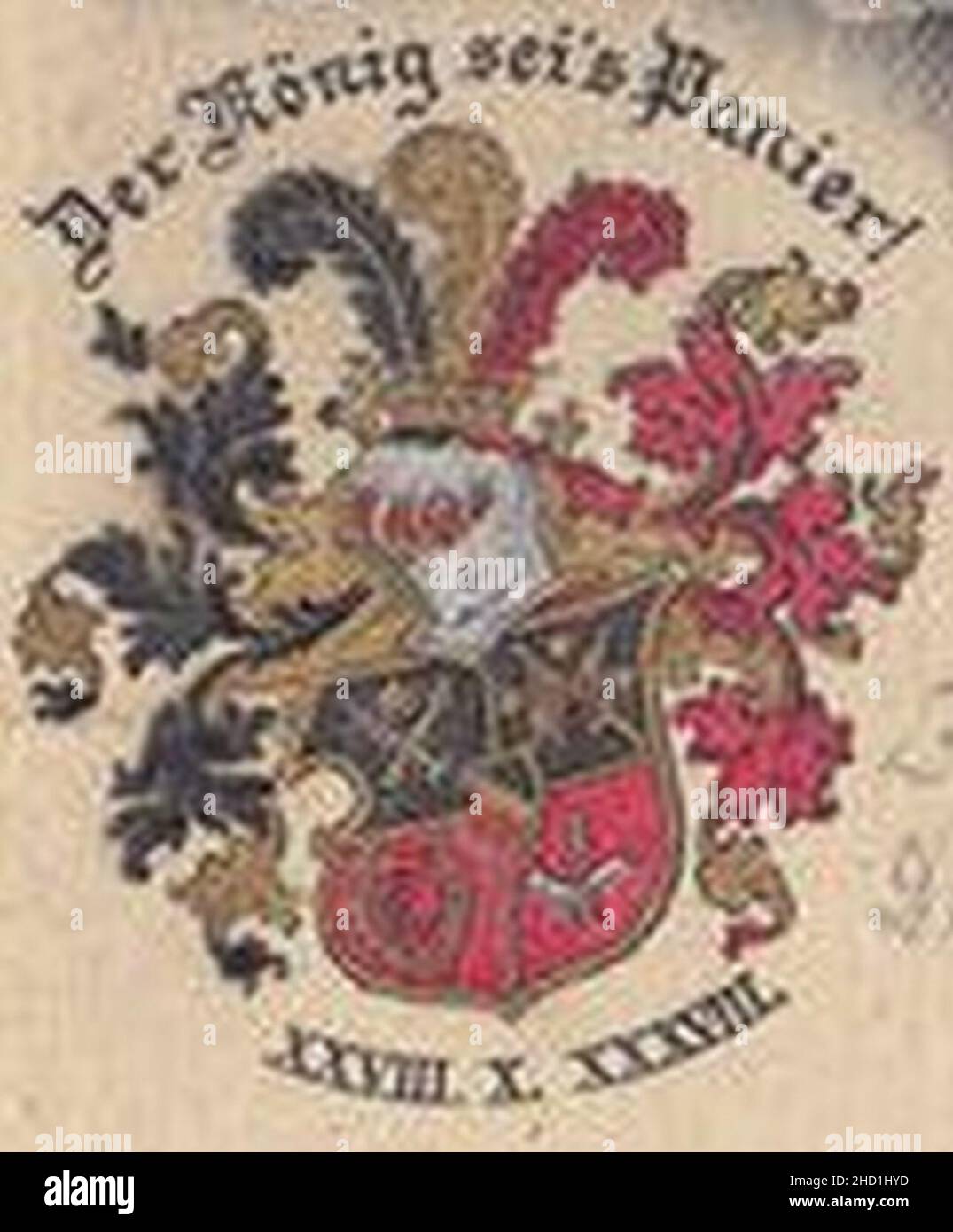 roigelhaus-der-k-nig-sei-s-panier-stock-photo-alamy