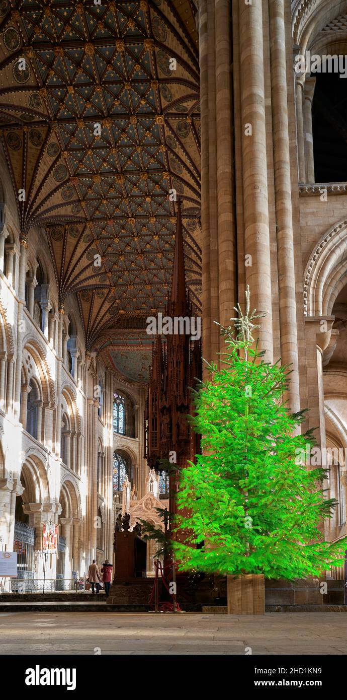 Christmas tree in the medieval cathedral at Peterborough England