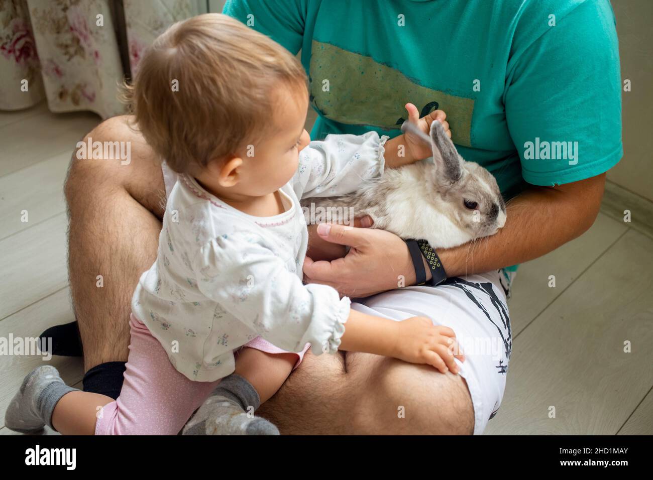 infant baby girl playing with decorative rabbit in father s hands Stock ...