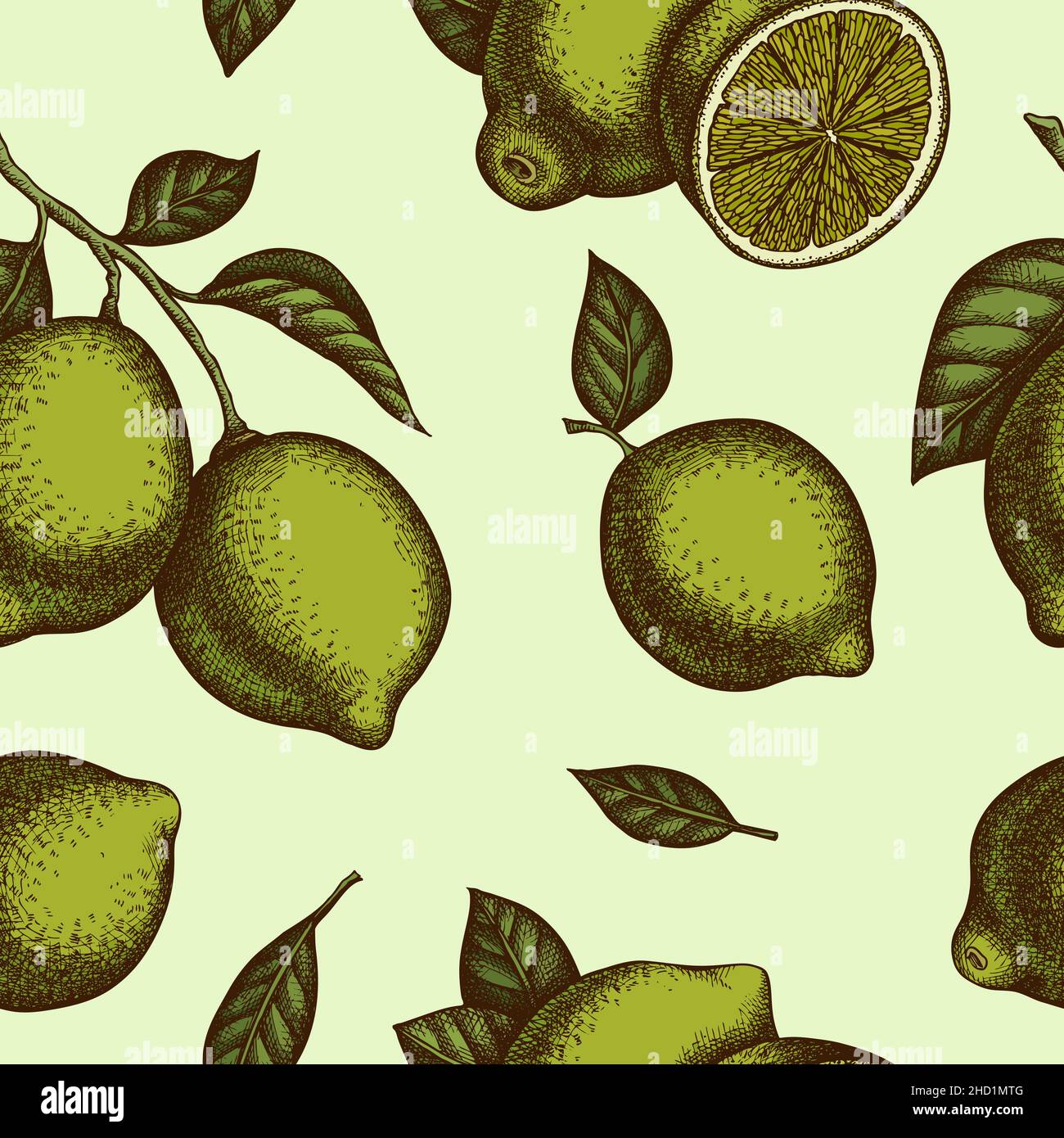 Citrus seamless pattern background design. Engraved style. Hand drawn ...