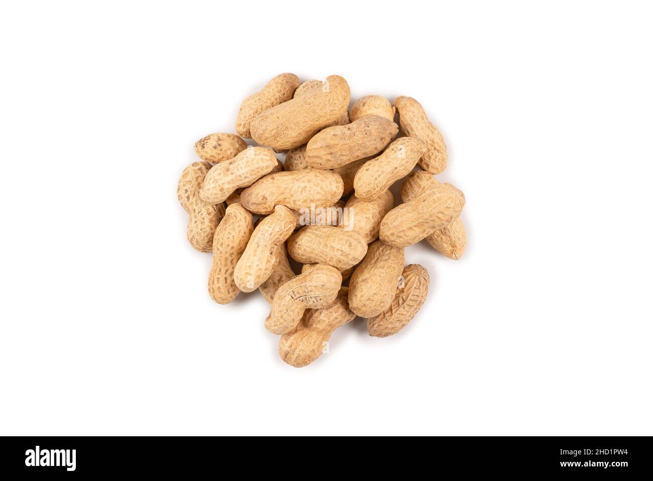 Group of Arachis isolated on a white background. Stock Photo