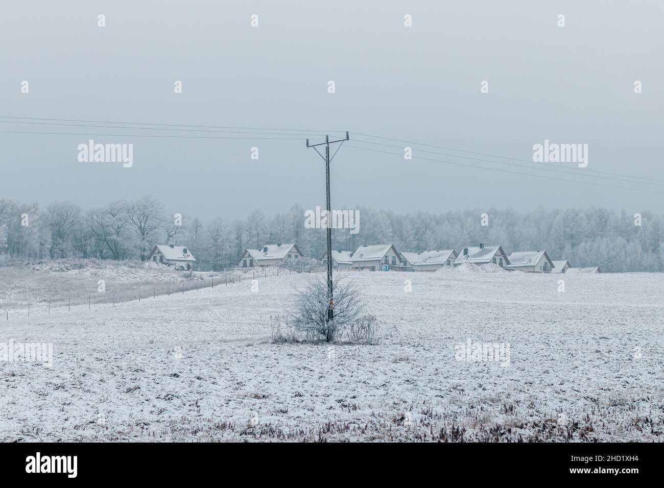 Snow covered trees in winter and power line in the snowy field Stock ...