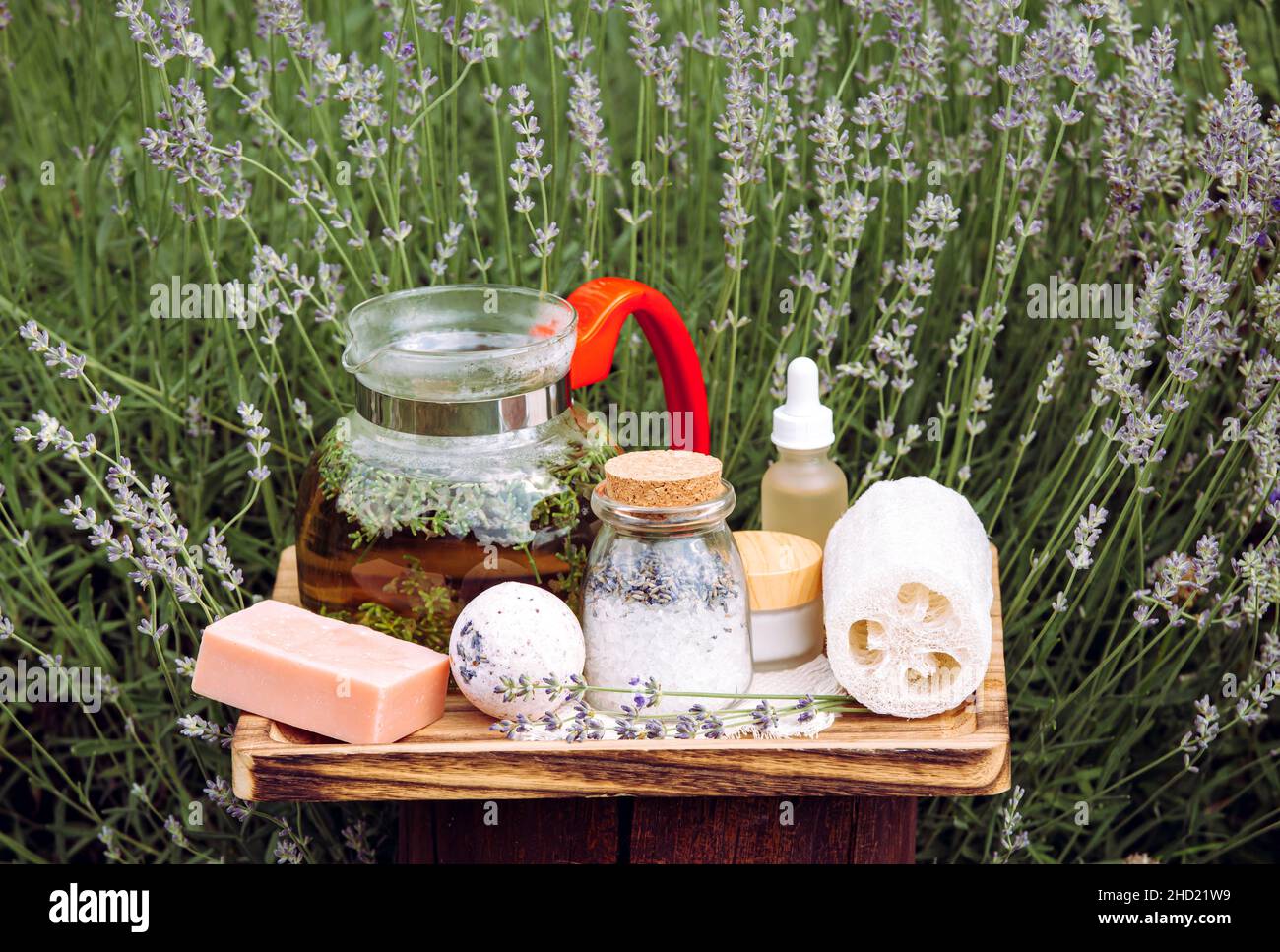 Various lavender spa products on wooden tray in blooming lavender field on sunny summer day. Glass jug filled with hot lavender tea drink. Stock Photo