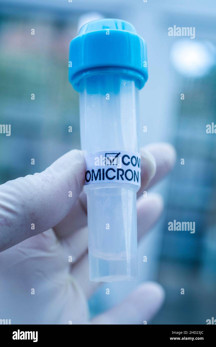 Medical healthcare professional holding COVID-19 swab collection kit, wearing gloves,test tube for taking Omicron Stock Photo