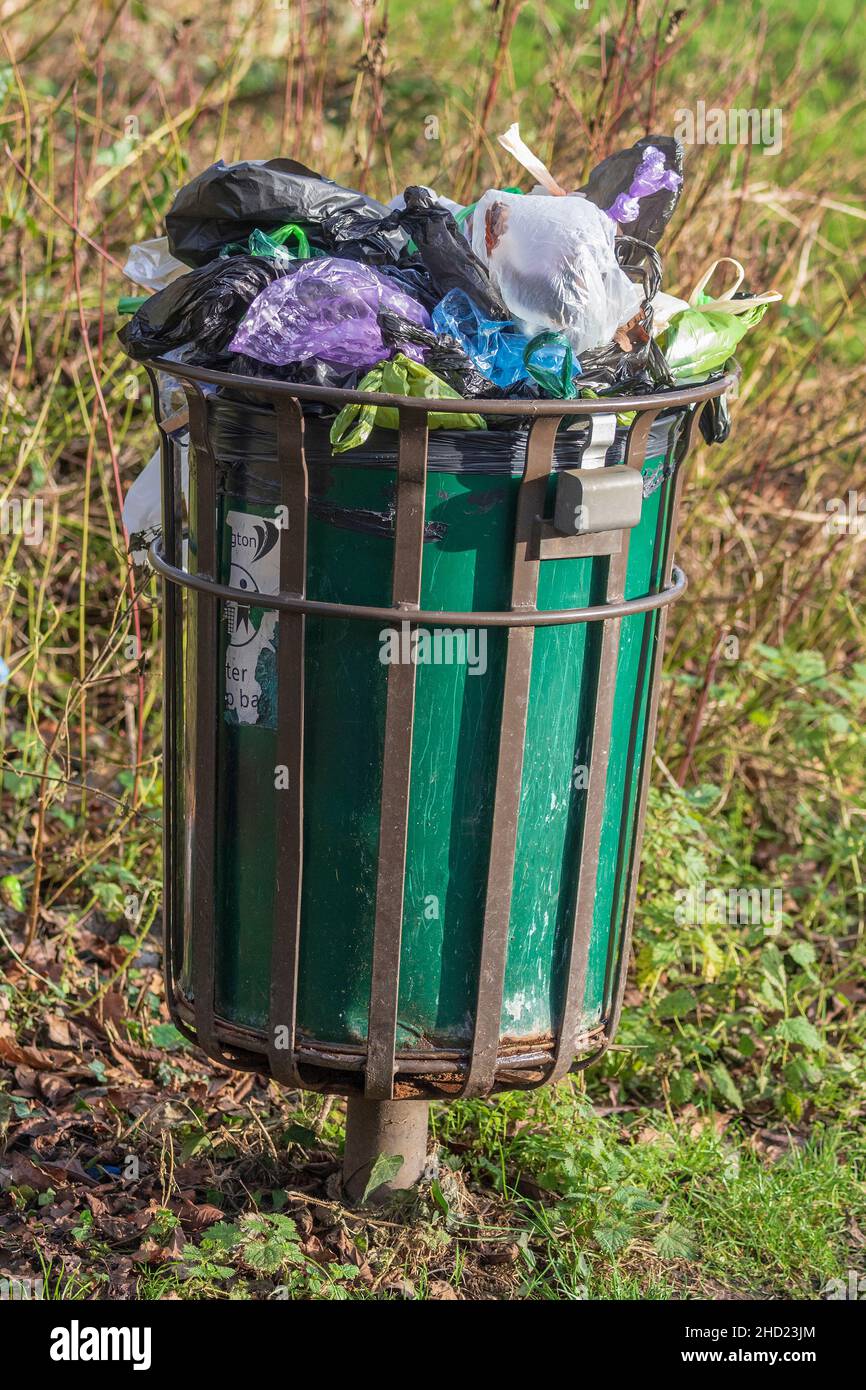 Dog poo bags completely filling a waster paper basjet in a local park. Stock Photo
