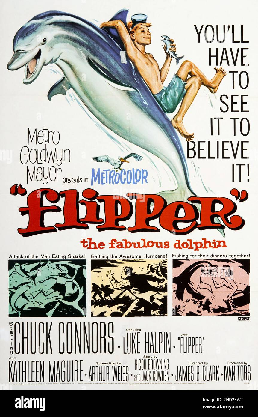 Theatrical poster for the film Flipper (1963) feat Chuck Connors. Flipper, the fabulous dolphin. Stock Photo