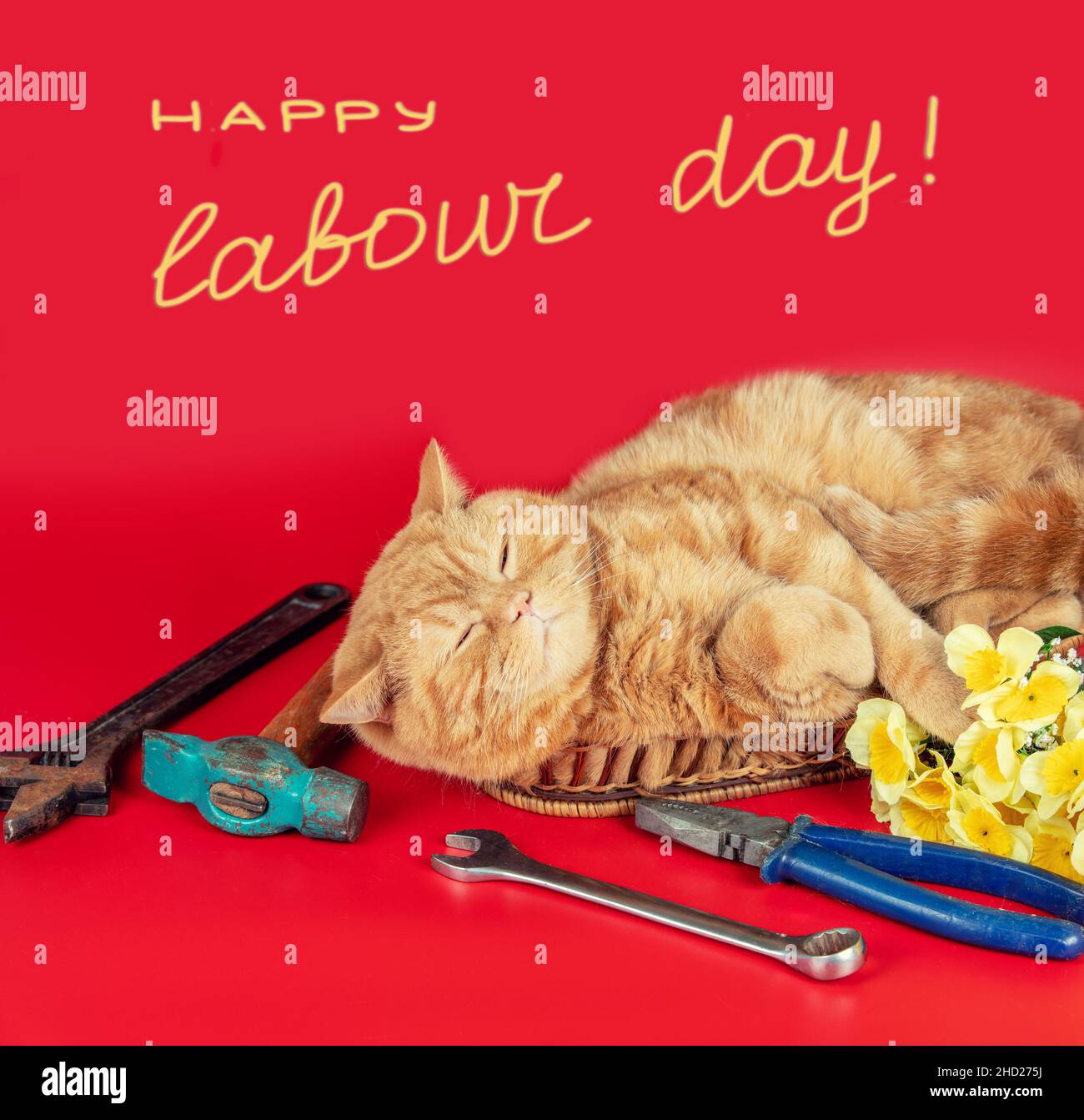 Poster happy labor day labour hi-res stock photography and images - Alamy