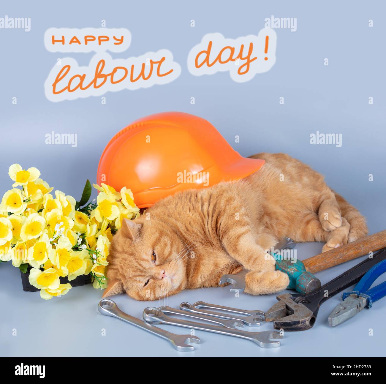 Poster happy labor day labour hi-res stock photography and images - Alamy Poster happy labor day labour hi-res stock photography and images - Alamy