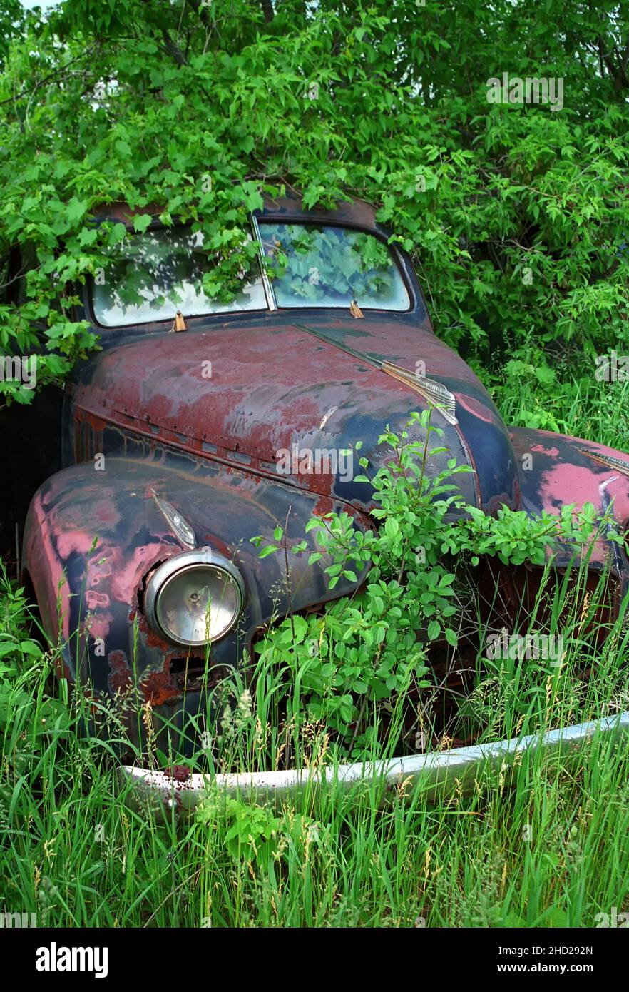 Car junk yard hi-res stock photography and images - Alamy