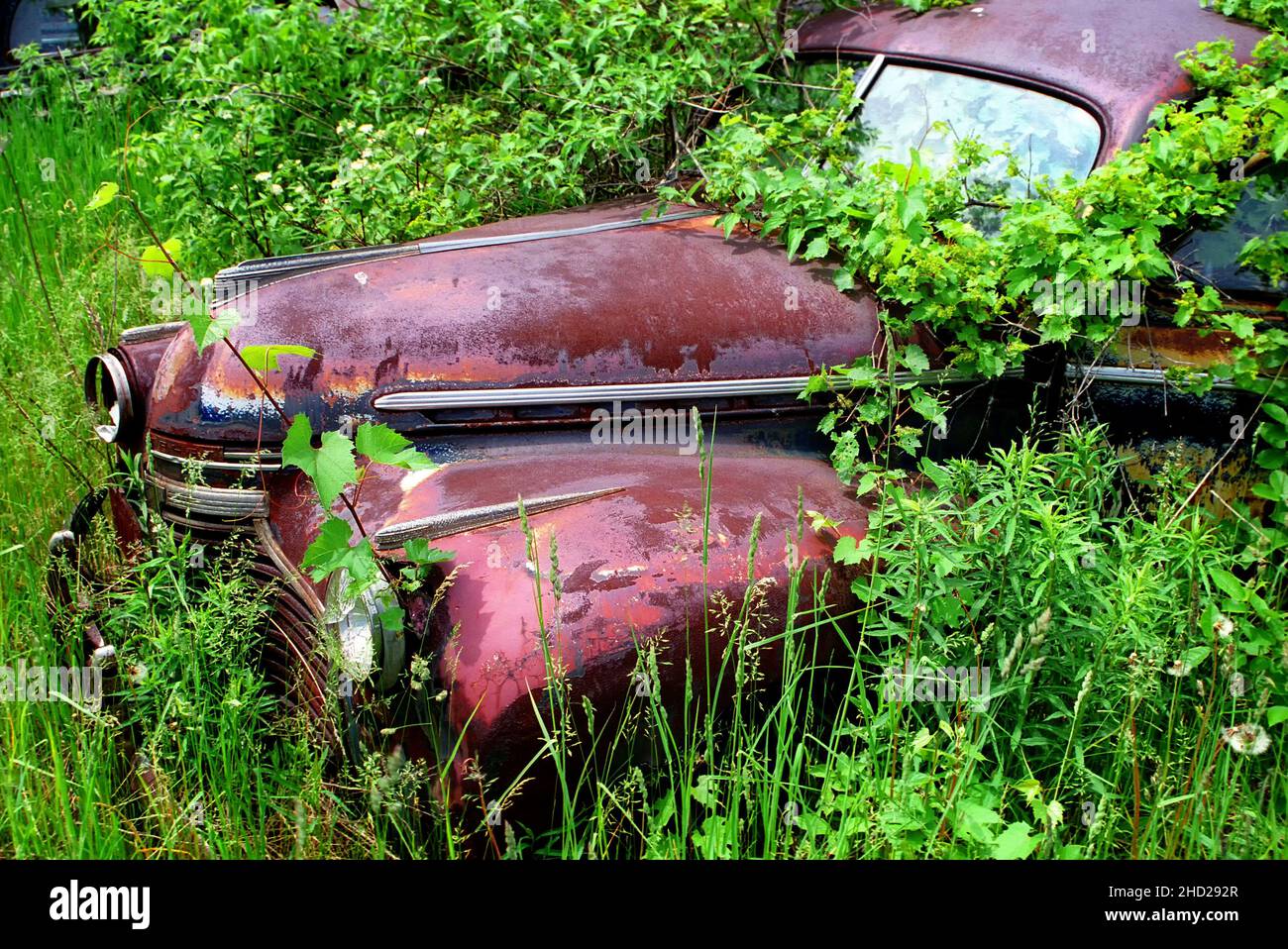 Car junk yard hi-res stock photography and images - Alamy